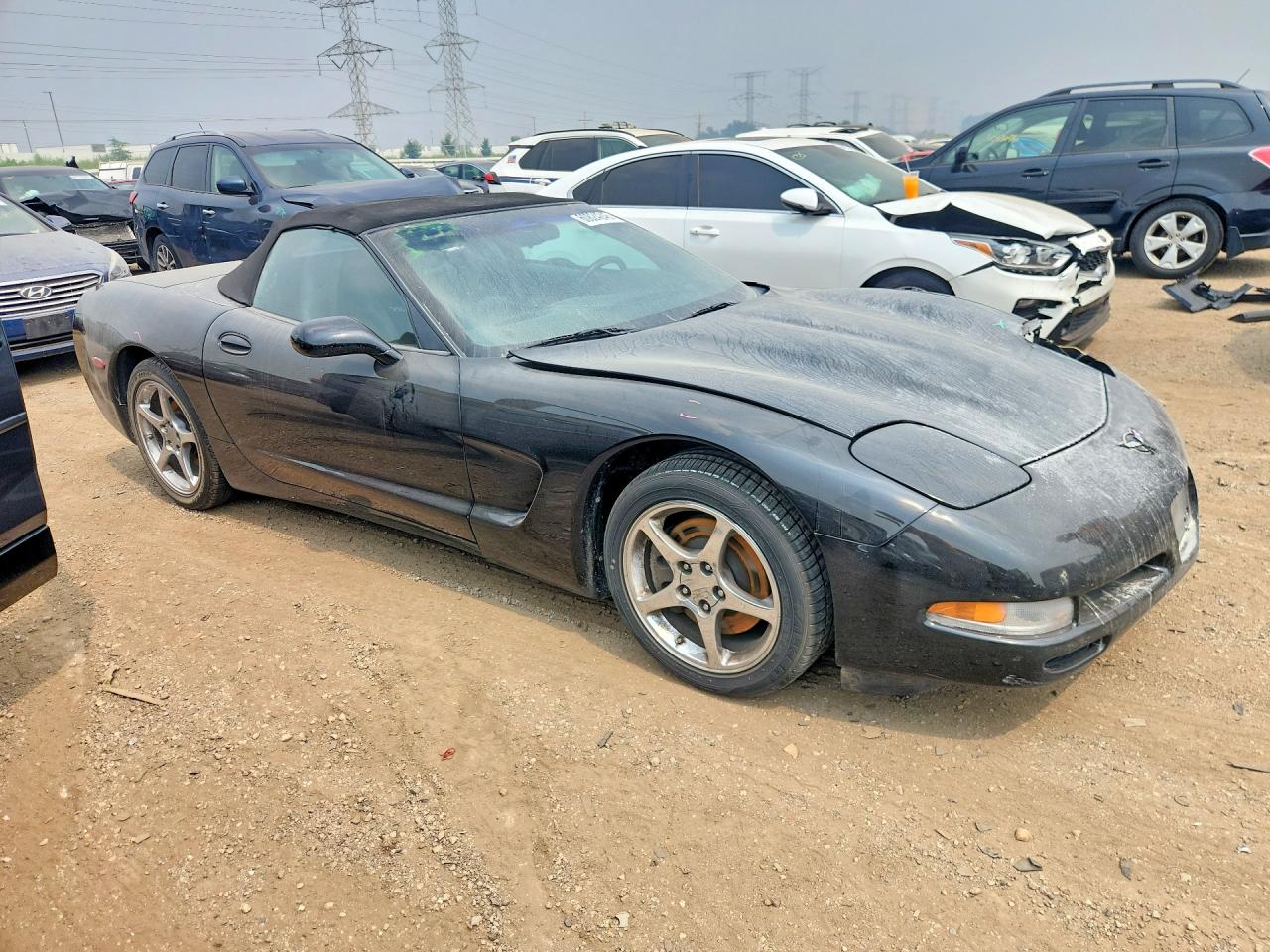2000 Chevrolet Corvette Black vin: 1G1YY32G9Y5130888