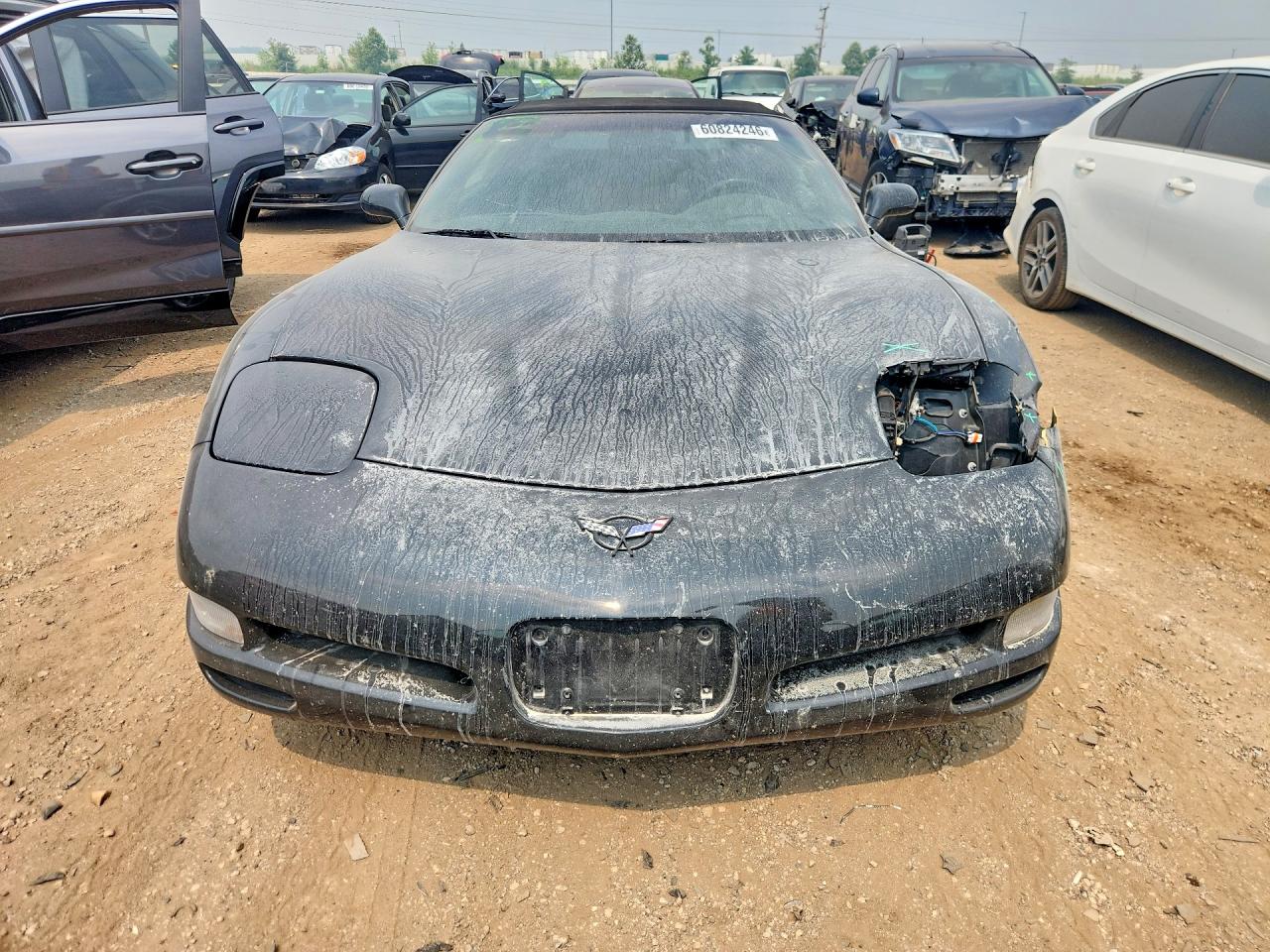 2000 Chevrolet Corvette Black vin: 1G1YY32G9Y5130888