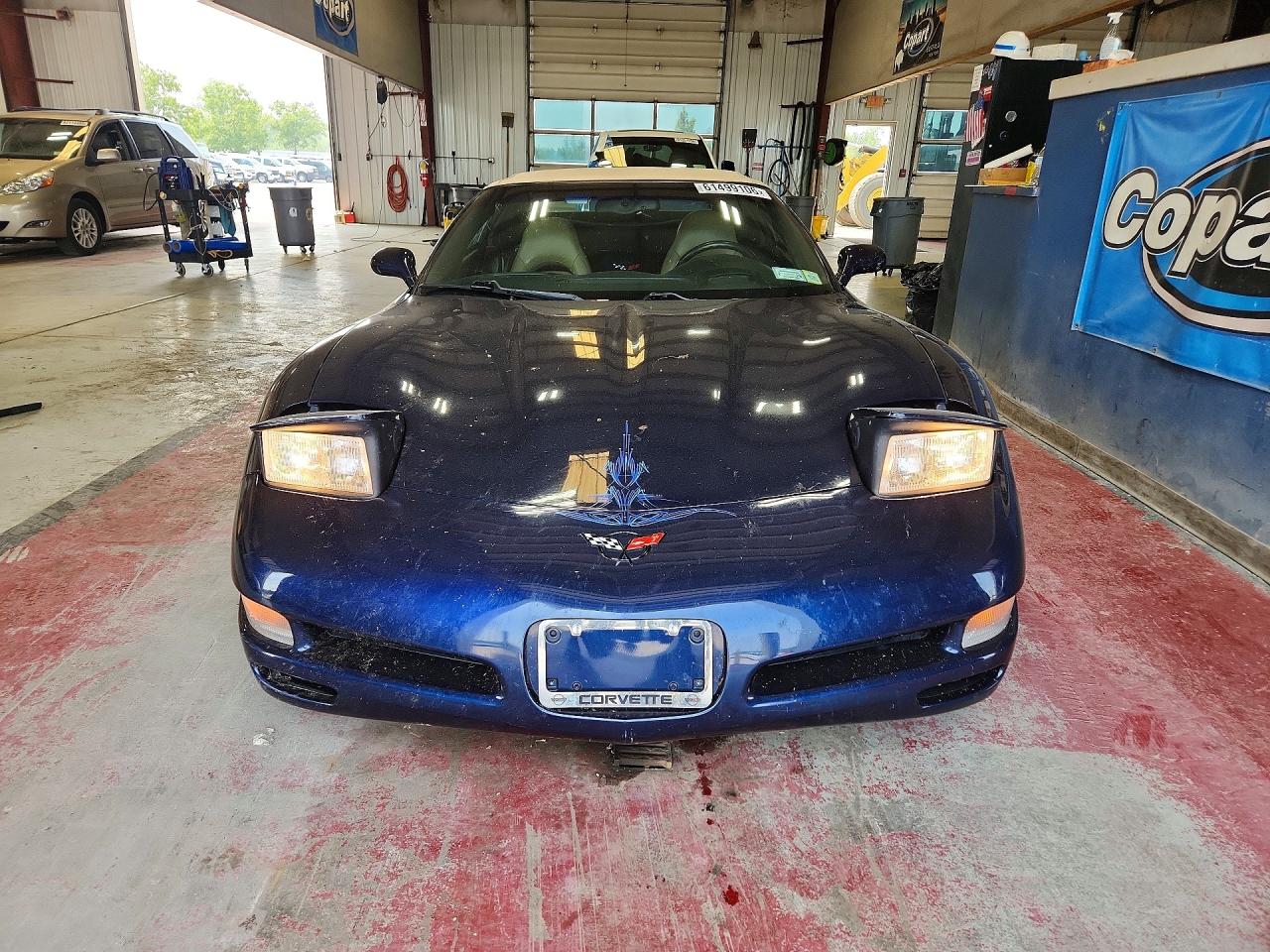 2001 Chevrolet Corvette Blue vin: 1G1YY32GX15113183