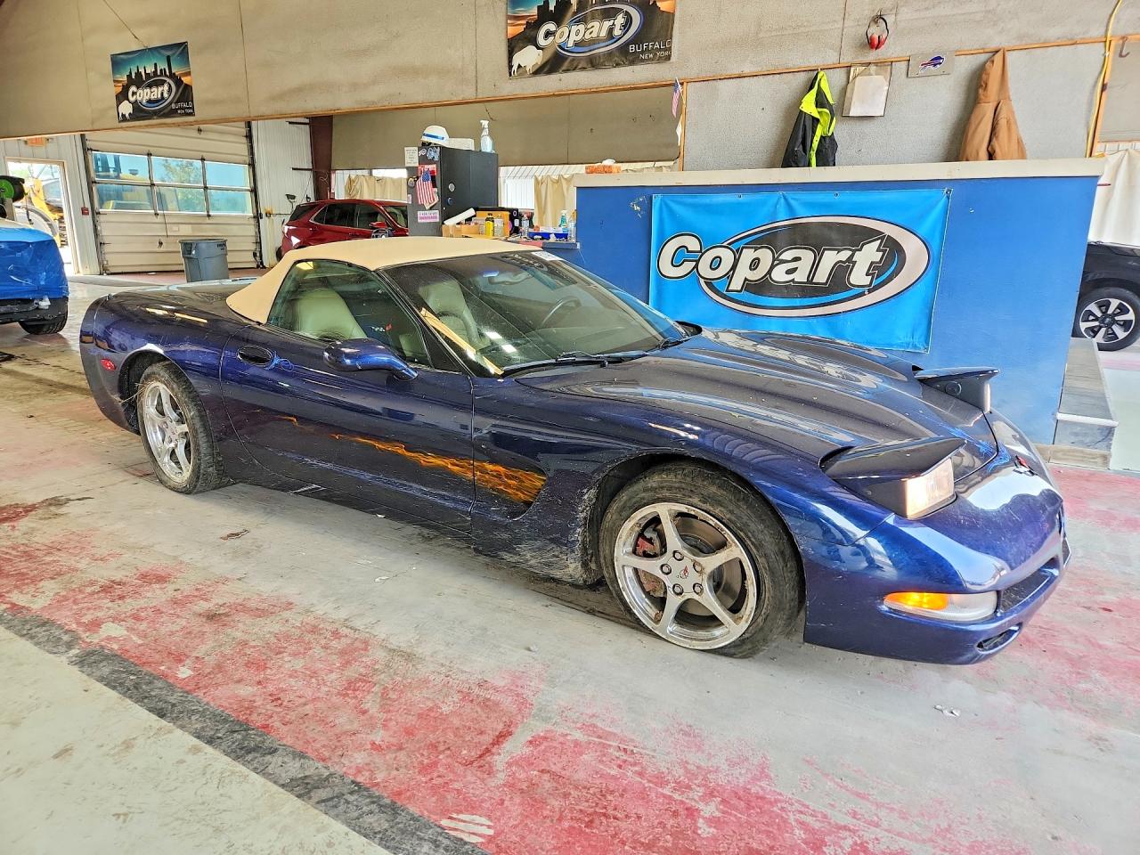 2001 Chevrolet Corvette Blue vin: 1G1YY32GX15113183