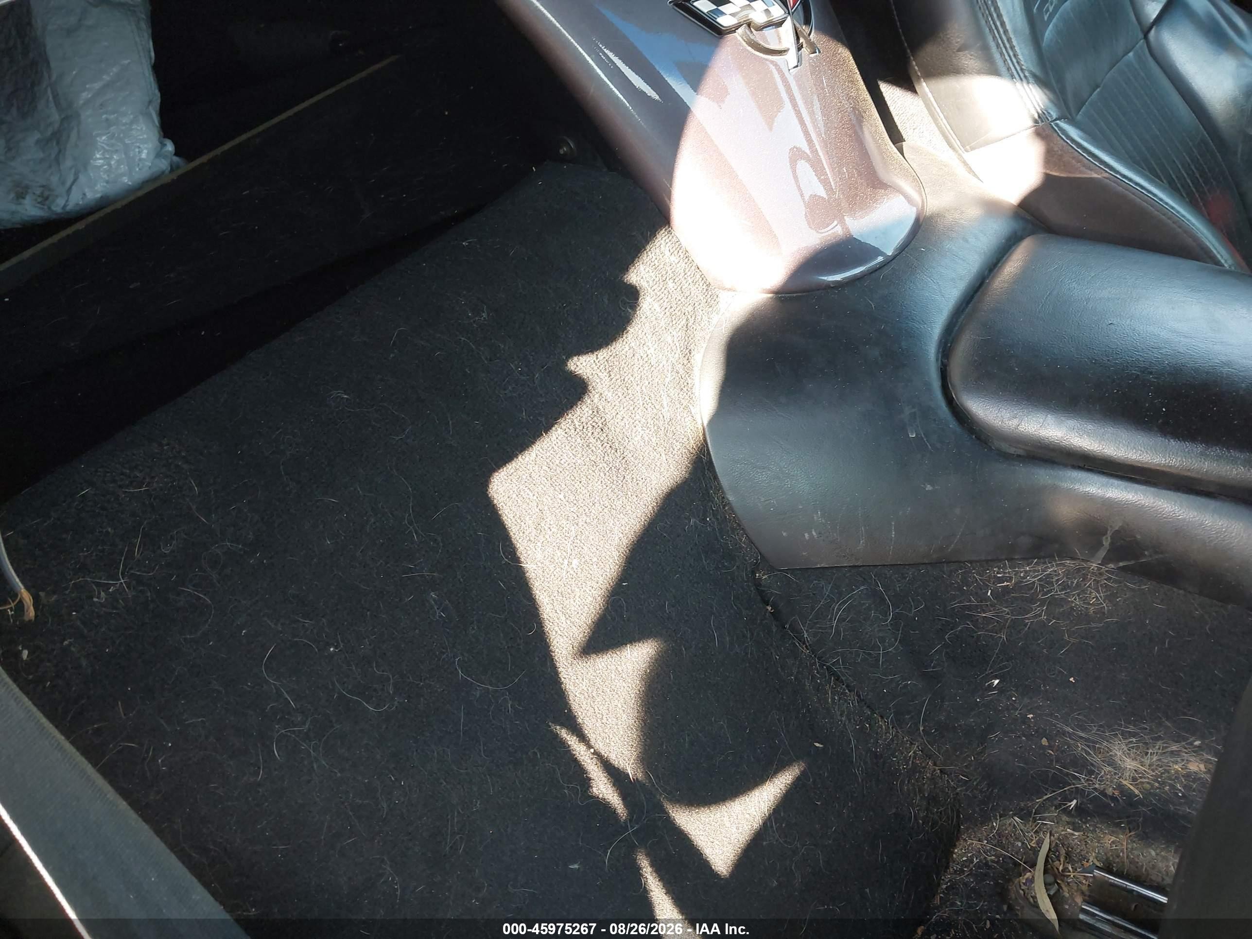 1998 Chevrolet Corvette Purple vin: 1G1YY32GXW5102532