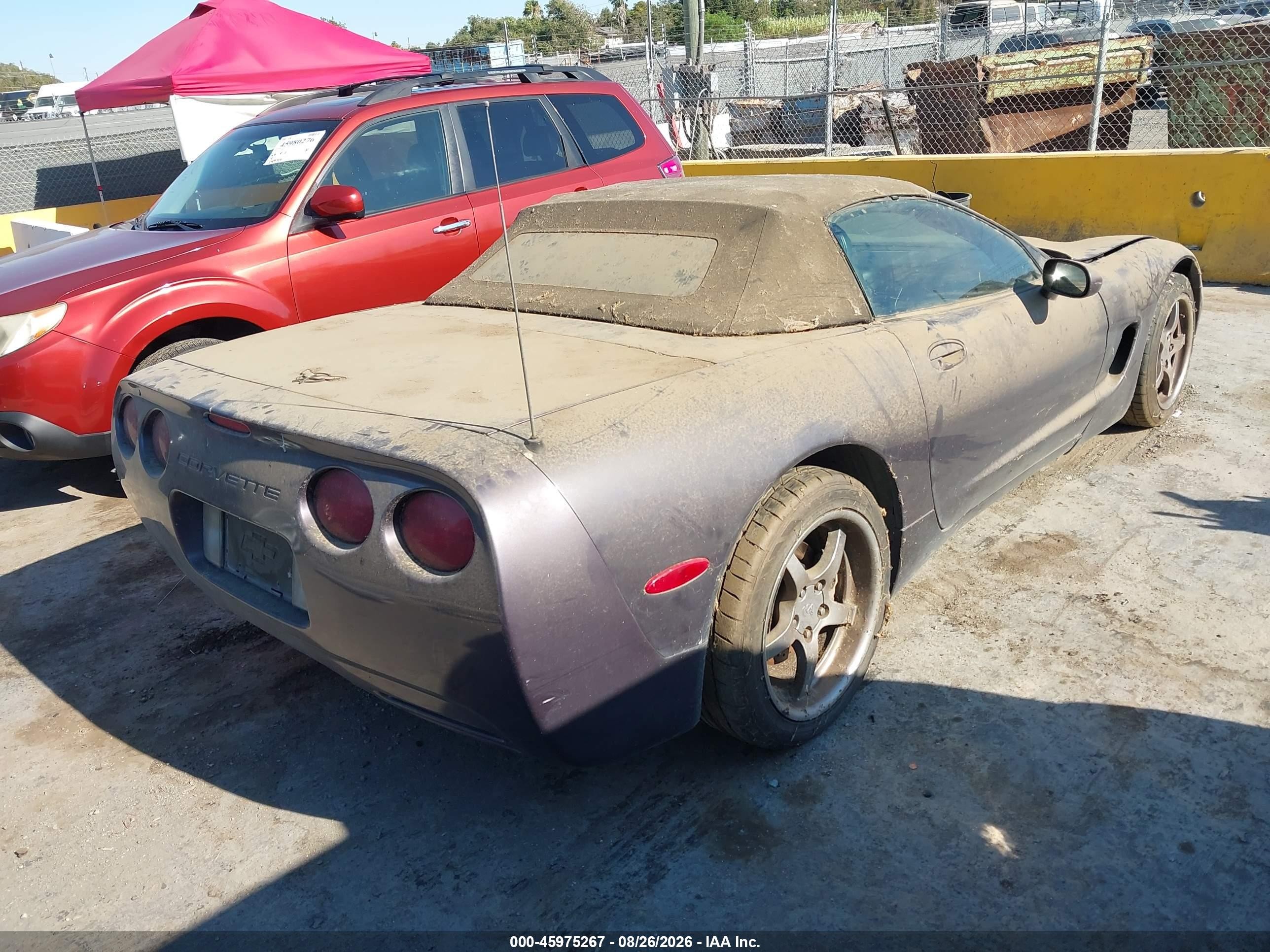 1998 Chevrolet Corvette Purple vin: 1G1YY32GXW5102532