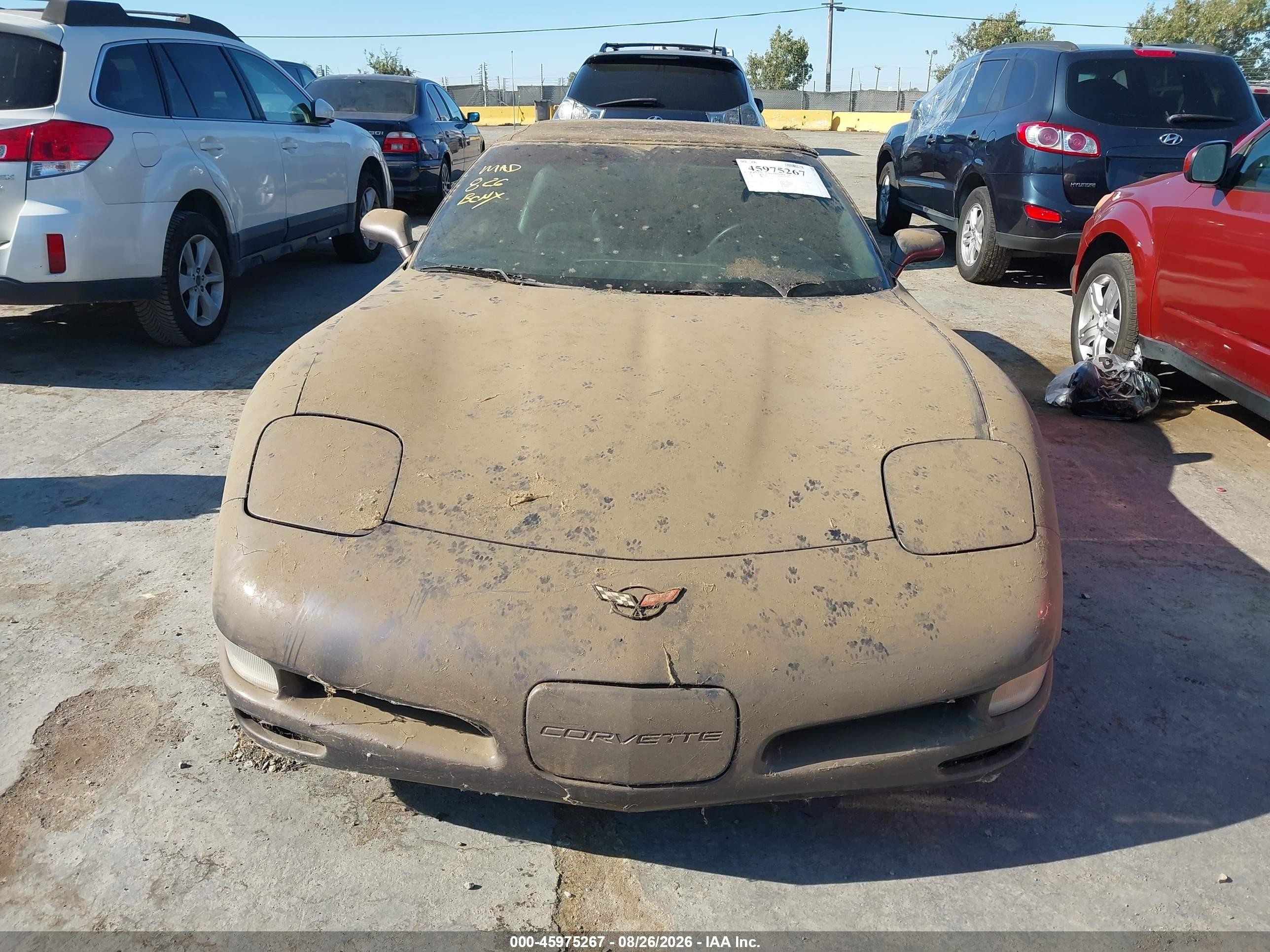 1998 Chevrolet Corvette Purple vin: 1G1YY32GXW5102532