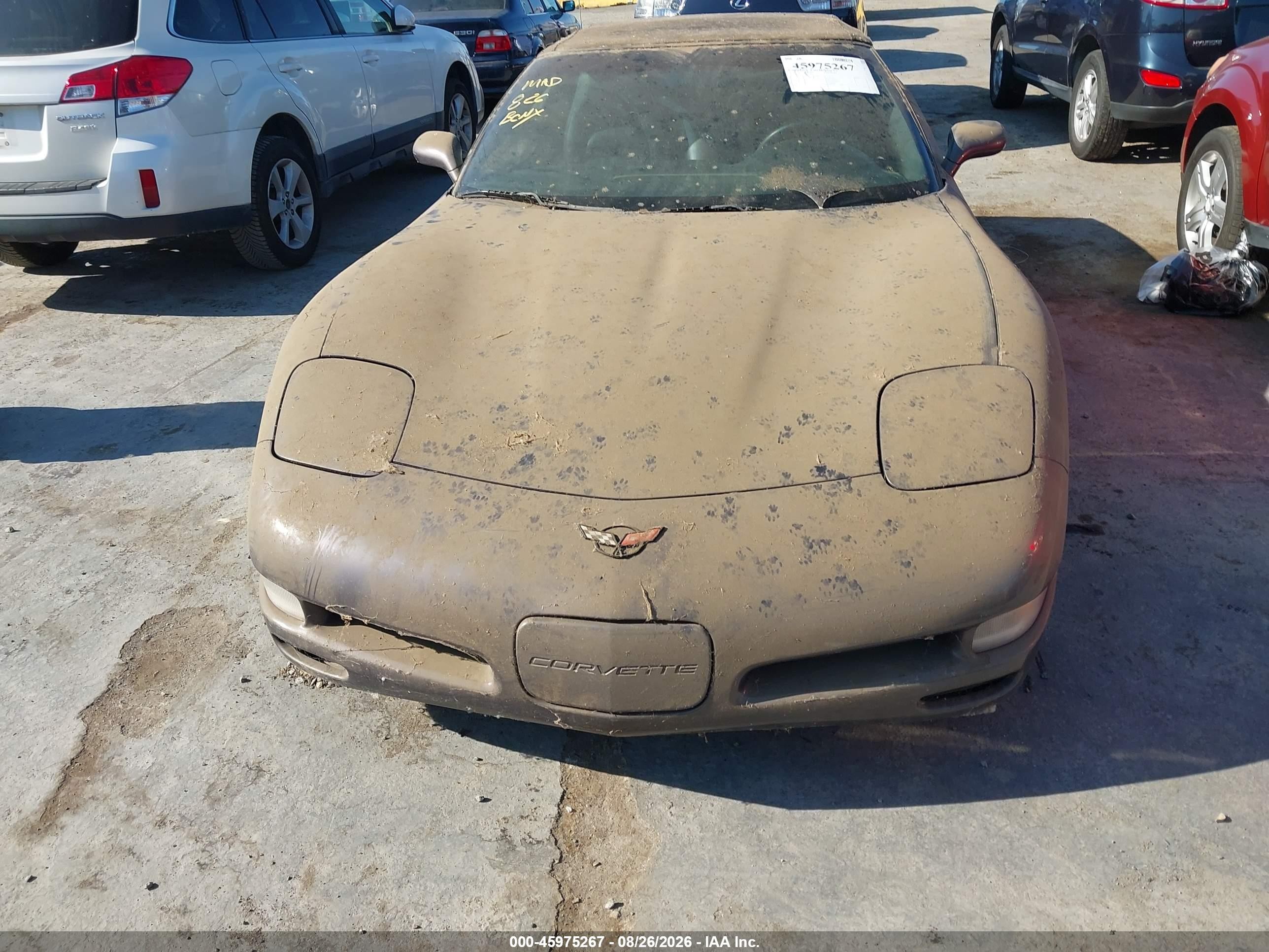 1998 Chevrolet Corvette Purple vin: 1G1YY32GXW5102532