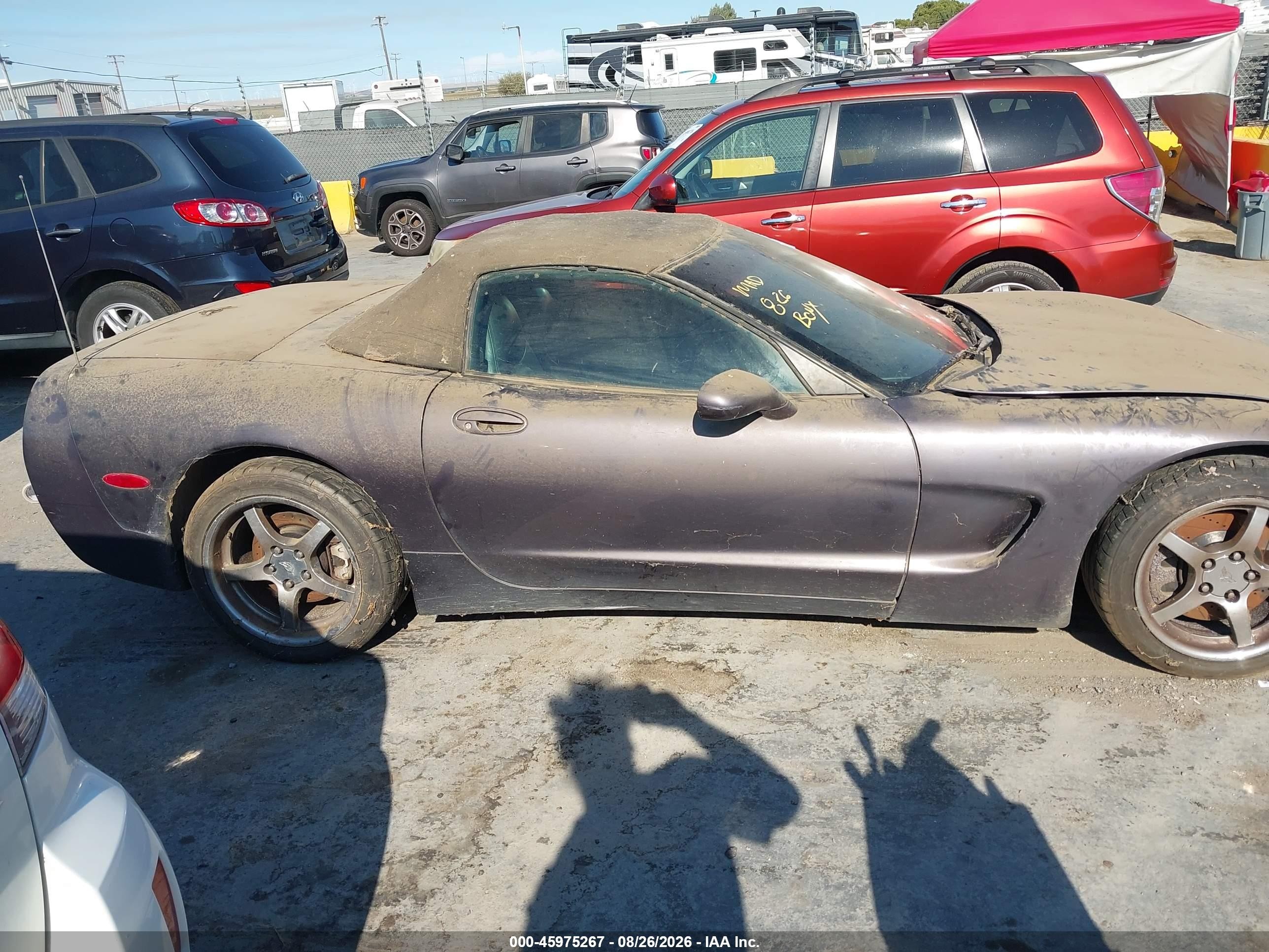1998 Chevrolet Corvette Purple vin: 1G1YY32GXW5102532