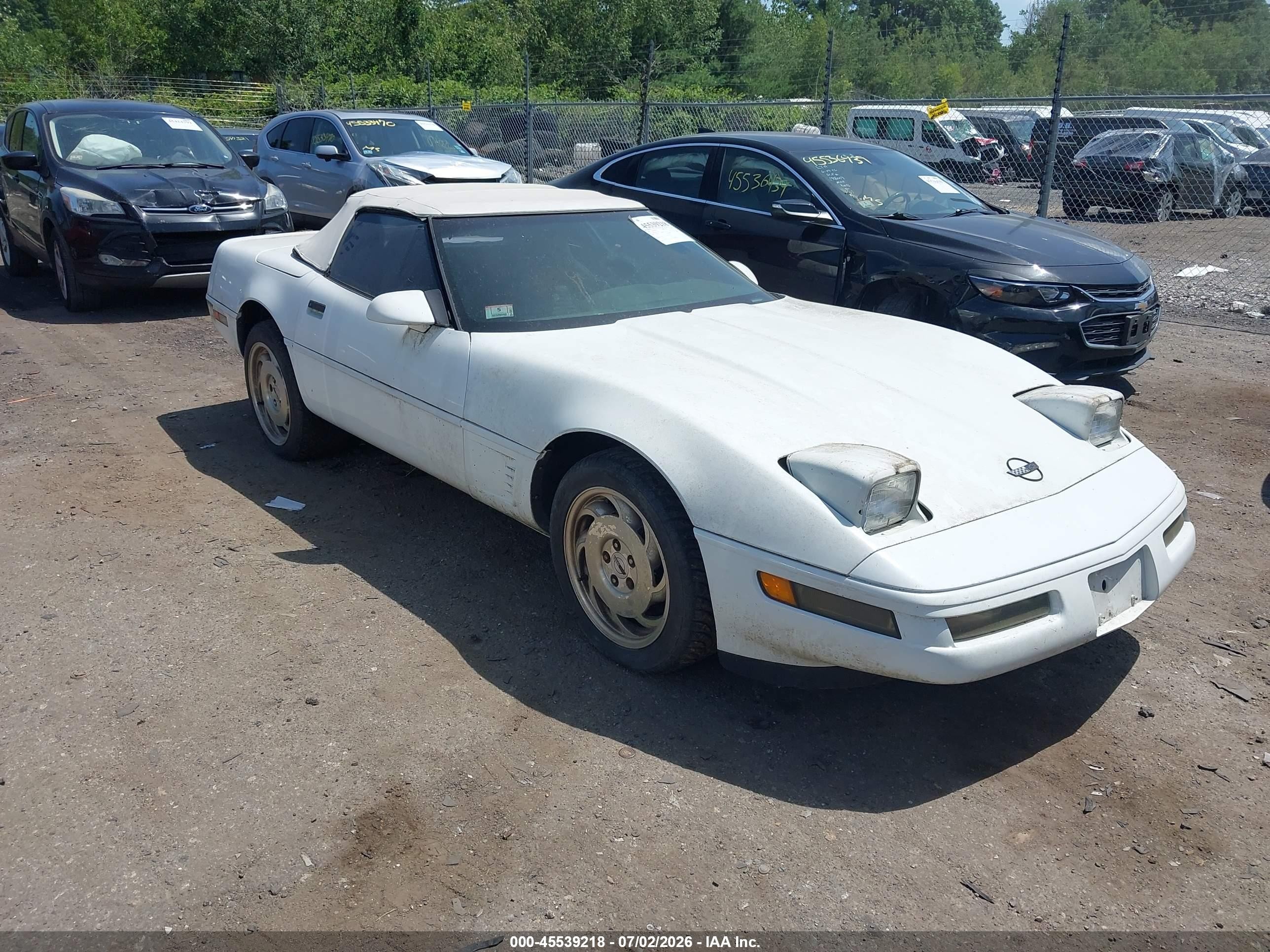 1996 Chevrolet Corvette   Белый vin: 1G1YY32P1T5117979