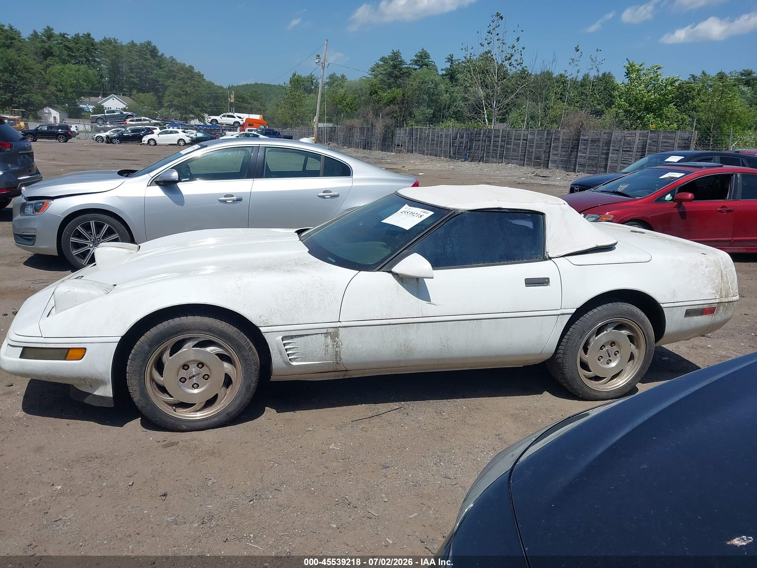 1996 Chevrolet Corvette   Белый vin: 1G1YY32P1T5117979
