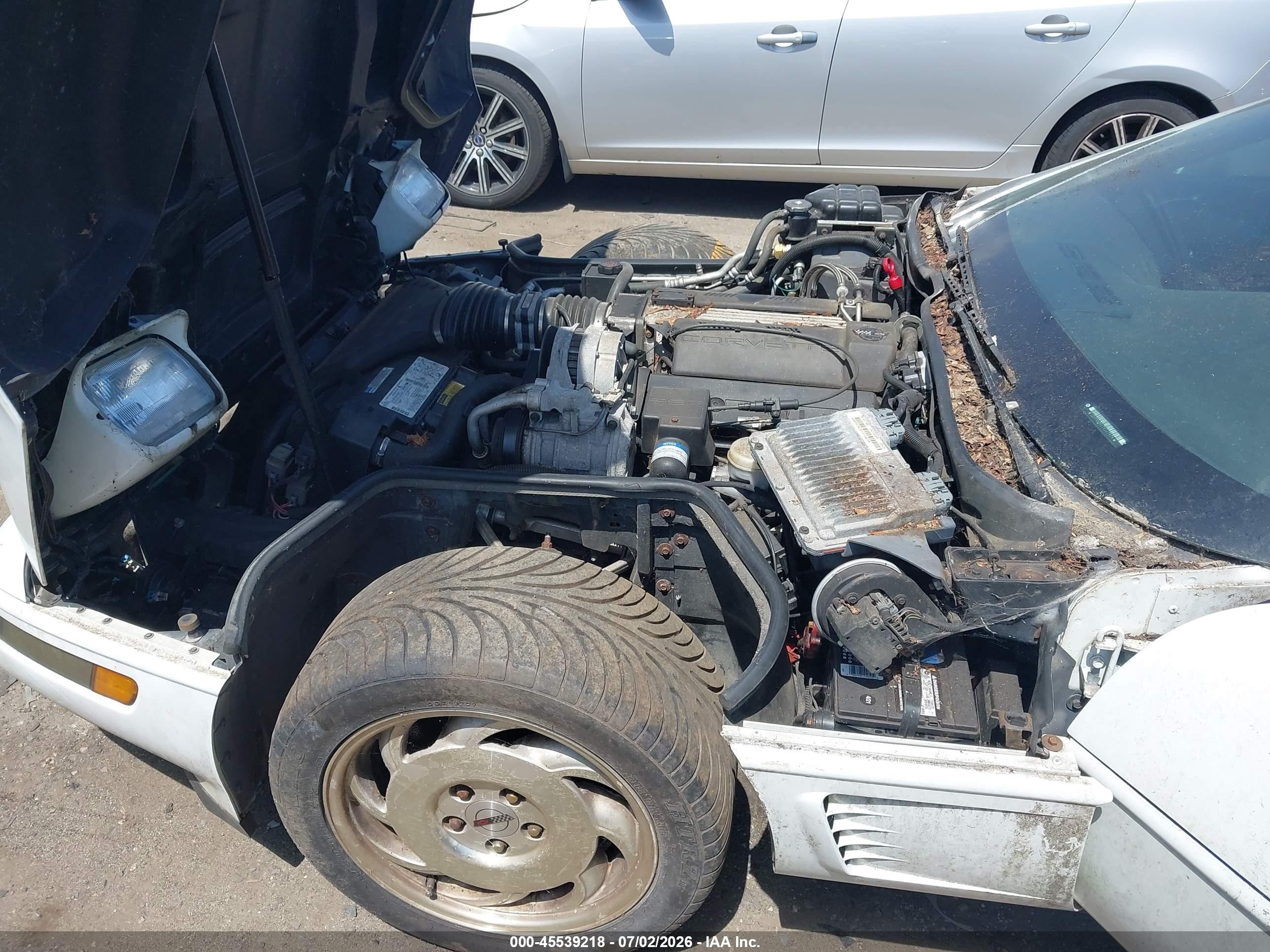 1996 Chevrolet Corvette   Белый vin: 1G1YY32P1T5117979