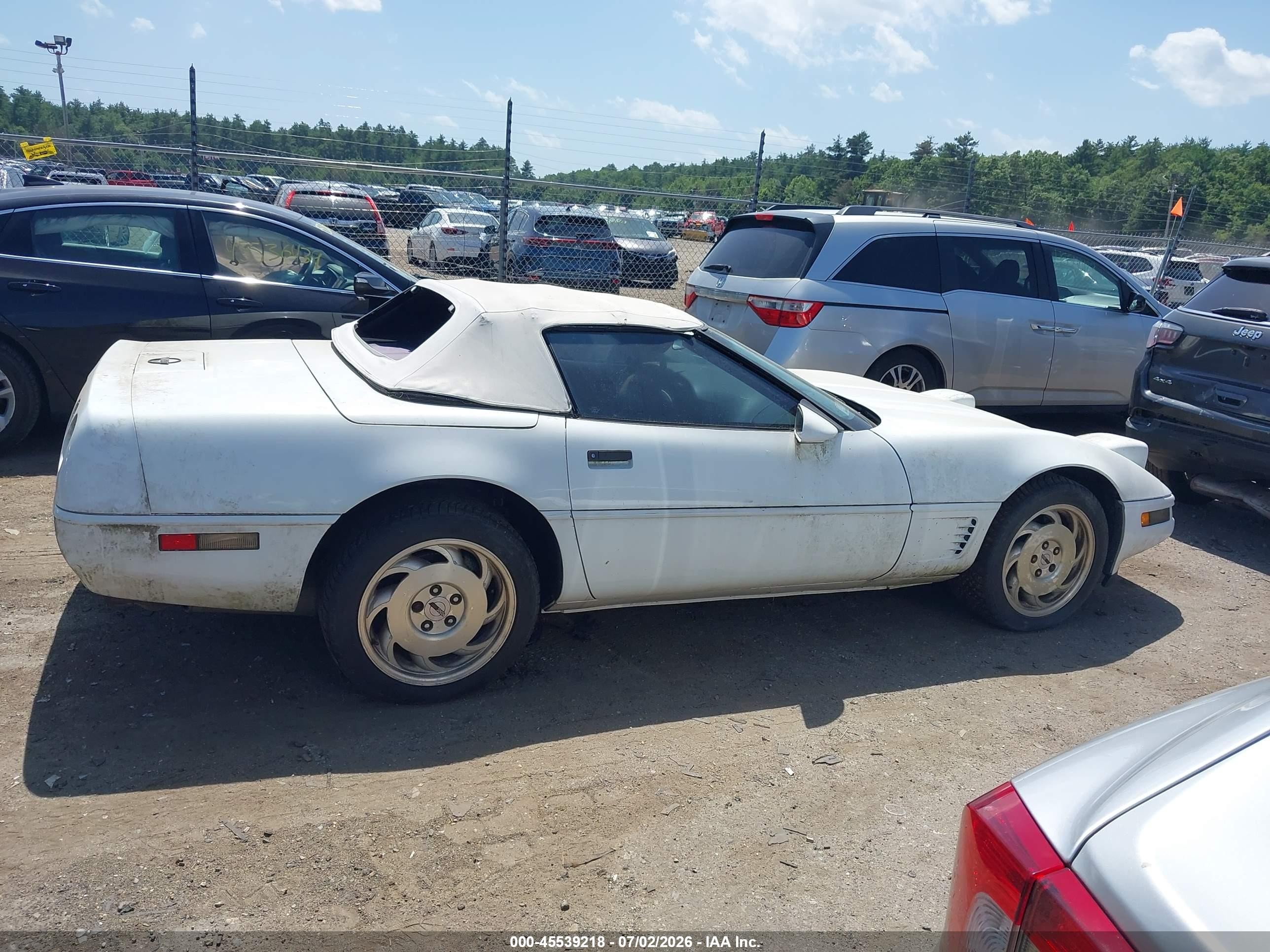 1996 Chevrolet Corvette   Белый vin: 1G1YY32P1T5117979