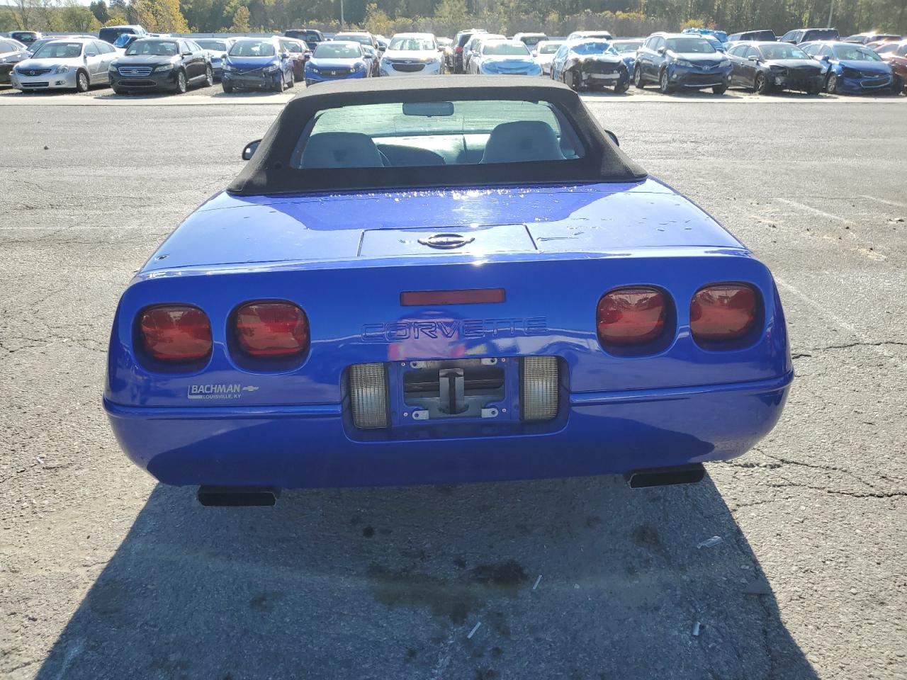 1994 Chevrolet Corvette Blue vin: 1G1YY32P5R5106234