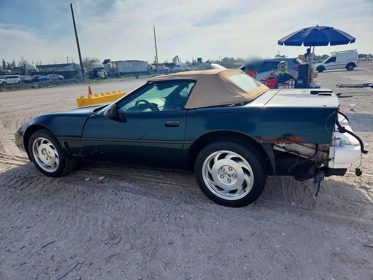 1996 Chevrolet Corvette Green vin: 1G1YY32P6T5119954