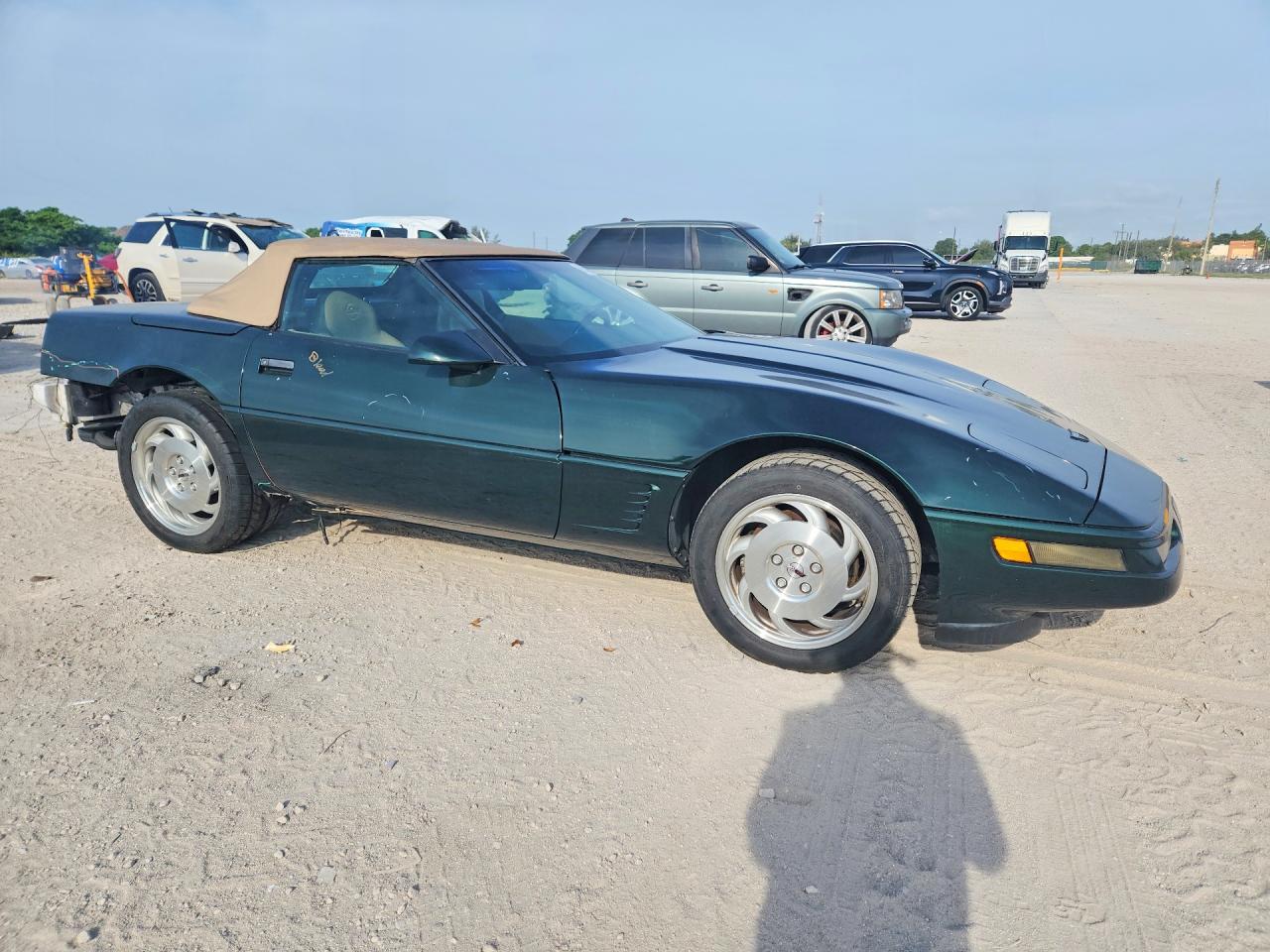1996 Chevrolet Corvette Green vin: 1G1YY32P6T5119954