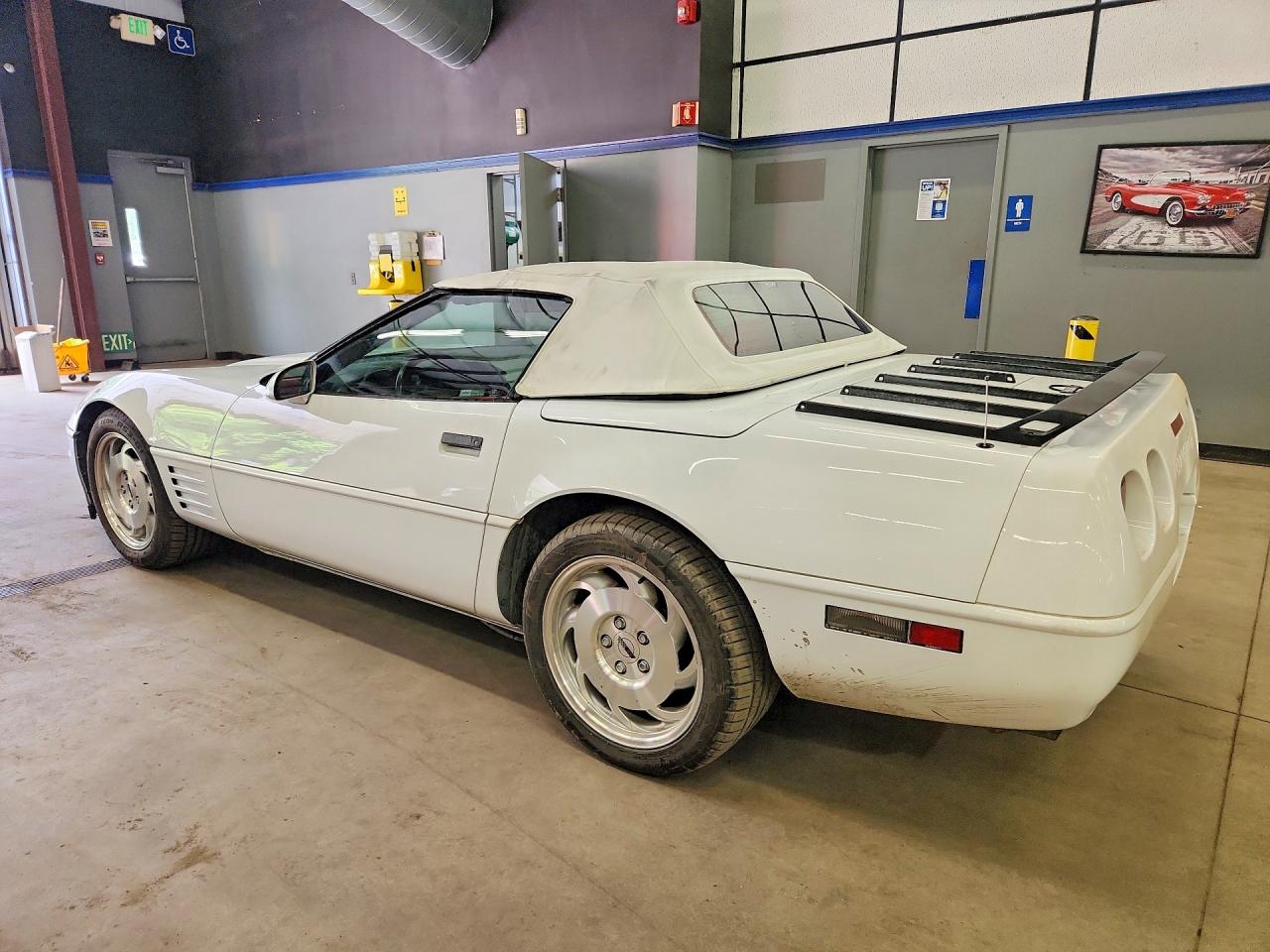 1994 Chevrolet Corvette Белый vin: 1G1YY32P7R5106378