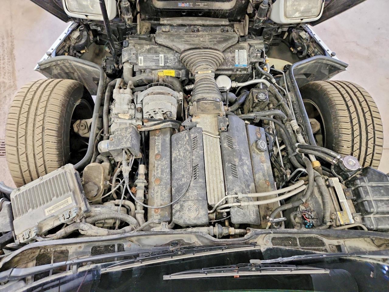 1994 Chevrolet Corvette Белый vin: 1G1YY32P7R5106378