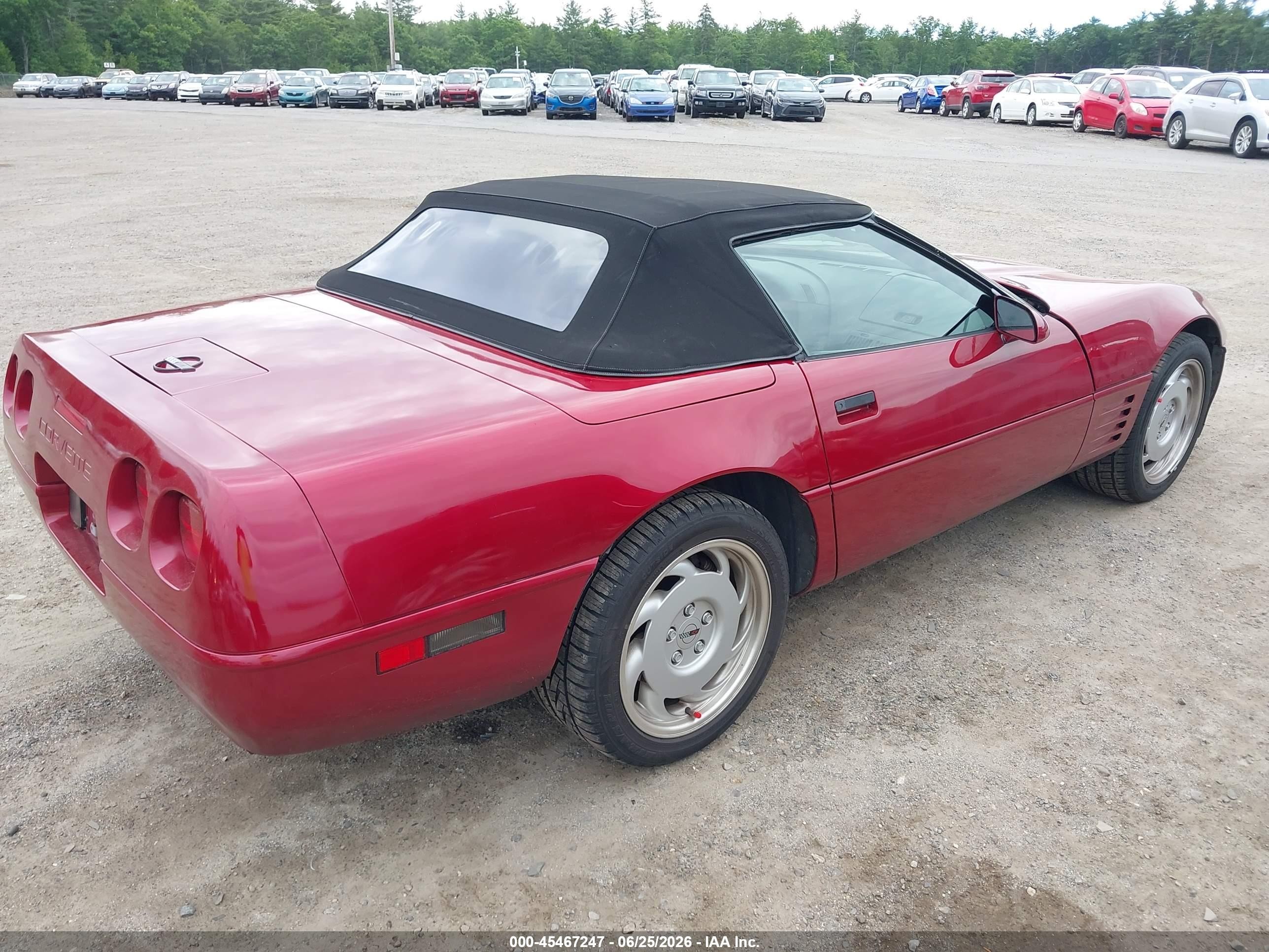 1991 Chevrolet Corvette Red vin: 1G1YY3385M5102829