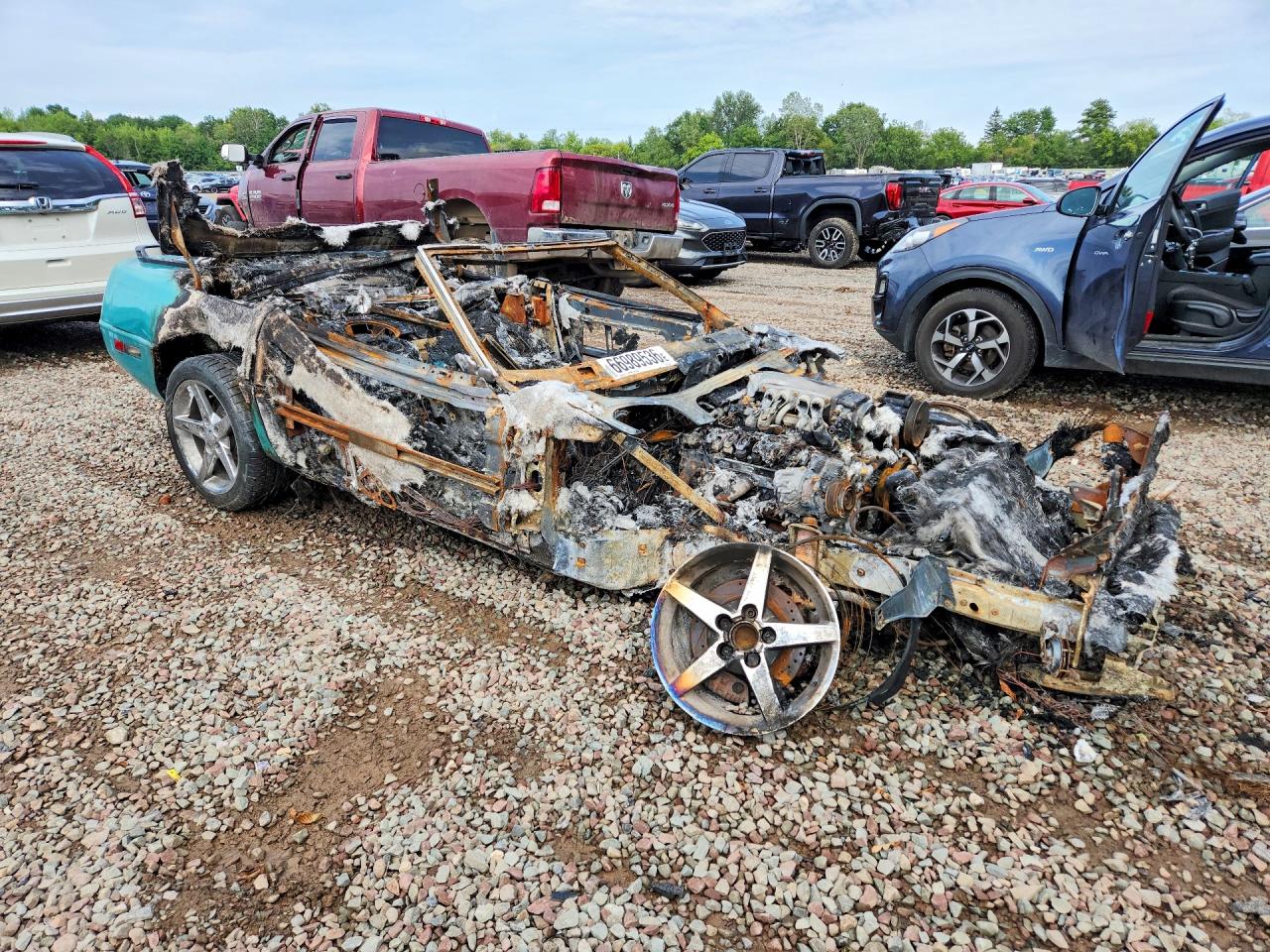 1991 Chevrolet Corvette Бирюзовый vin: 1G1YY3388M5113369