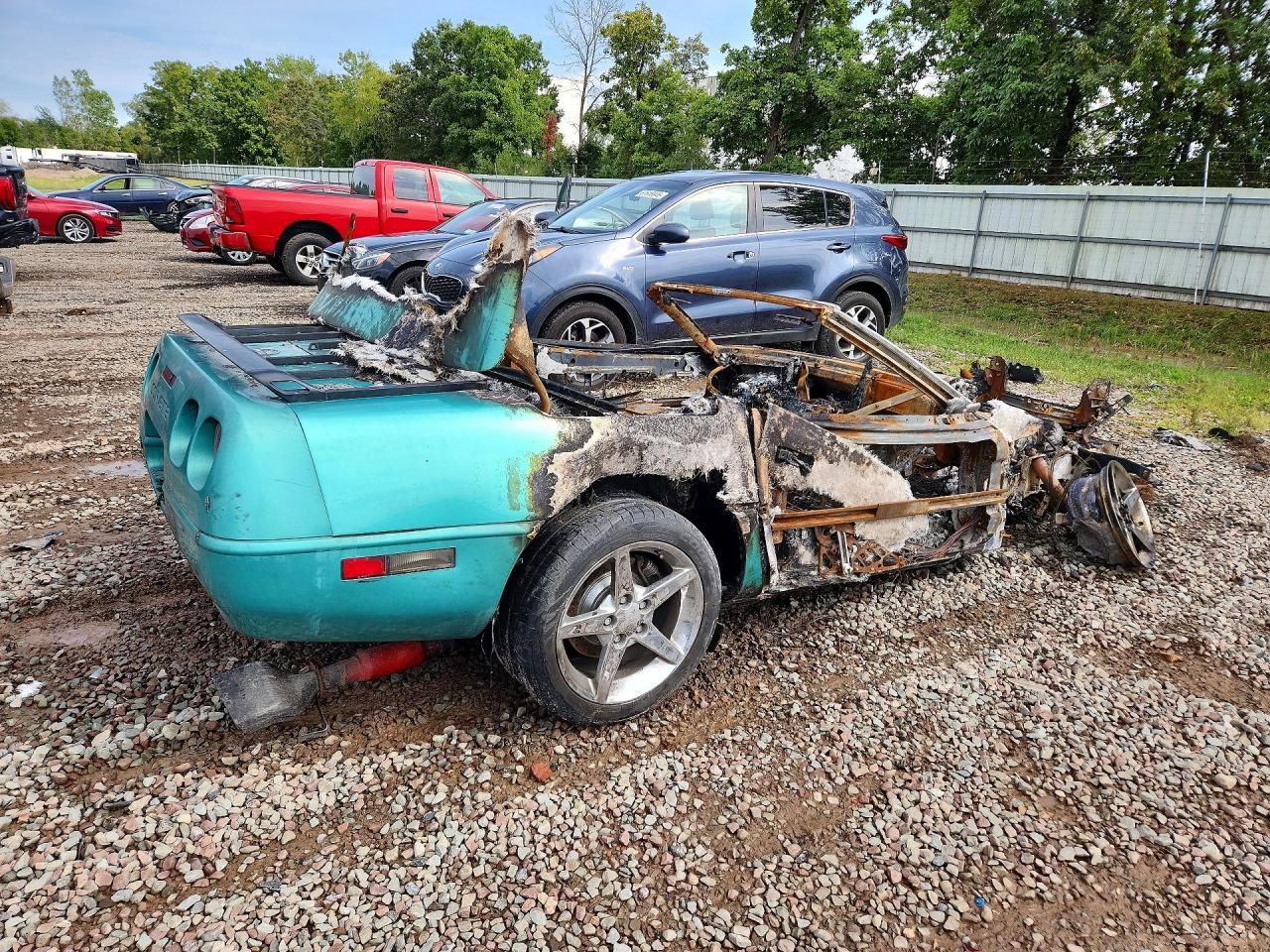 1991 Chevrolet Corvette Бирюзовый vin: 1G1YY3388M5113369