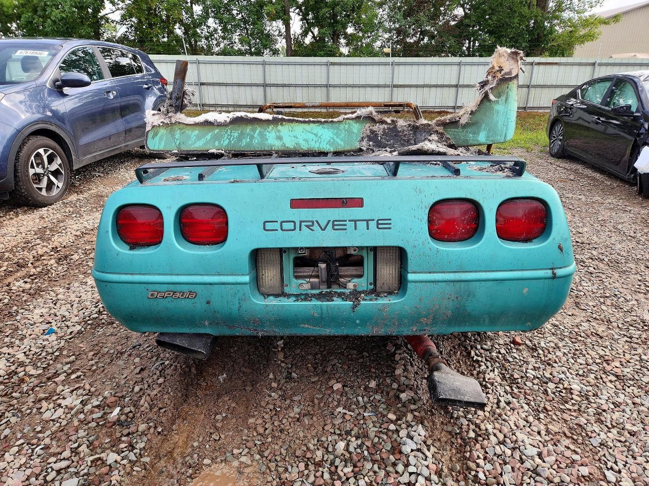 1991 Chevrolet Corvette Бирюзовый vin: 1G1YY3388M5113369