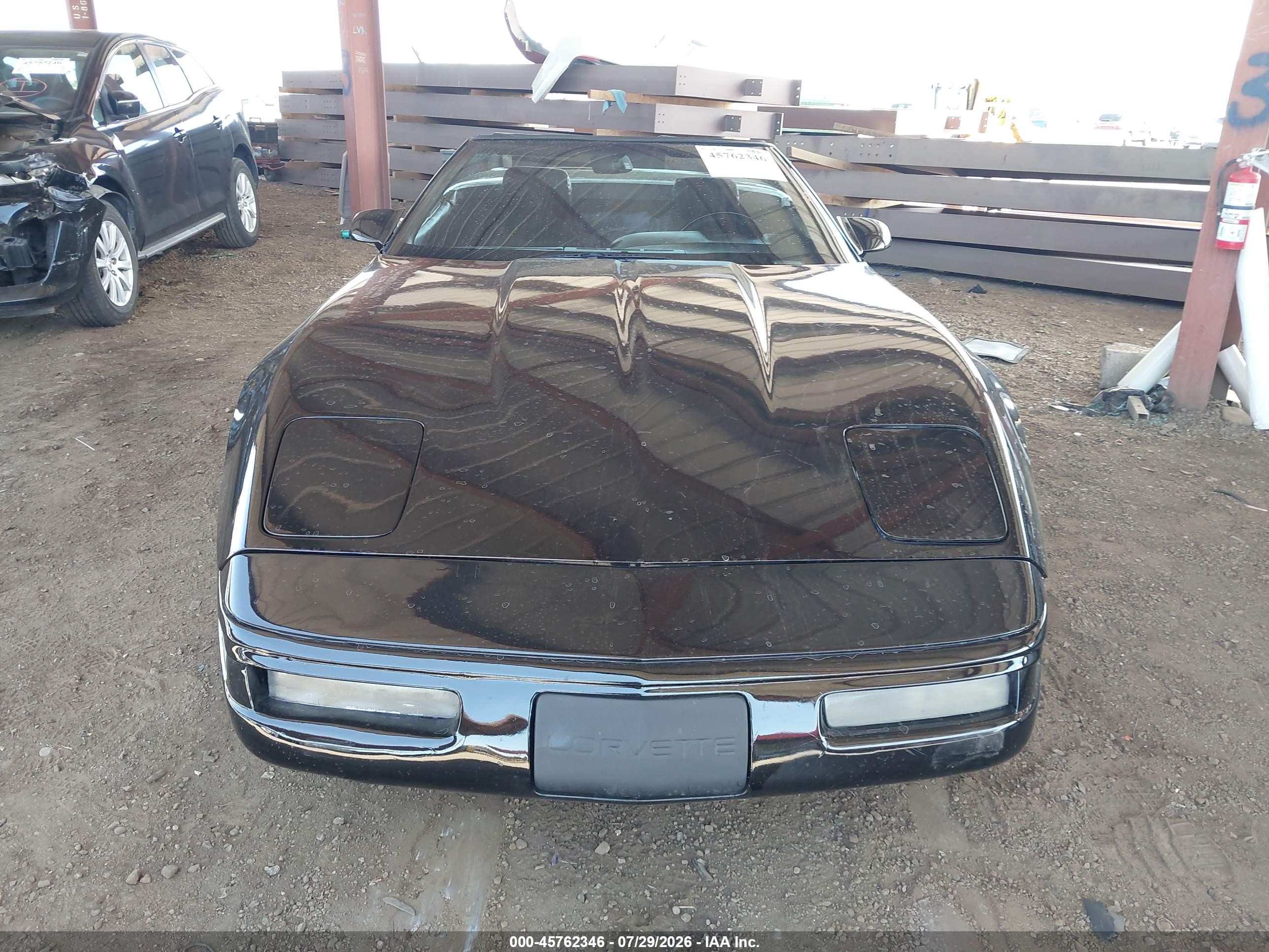 1991 Chevrolet Corvette   Black vin: 1G1YY3388M5116286