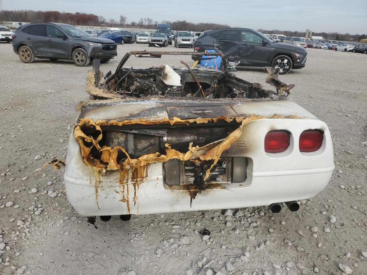 1991 Chevrolet Corvette White vin: 1G1YY338XM5110781