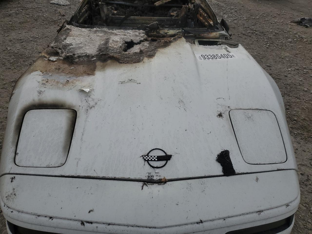 1991 Chevrolet Corvette White vin: 1G1YY338XM5110781