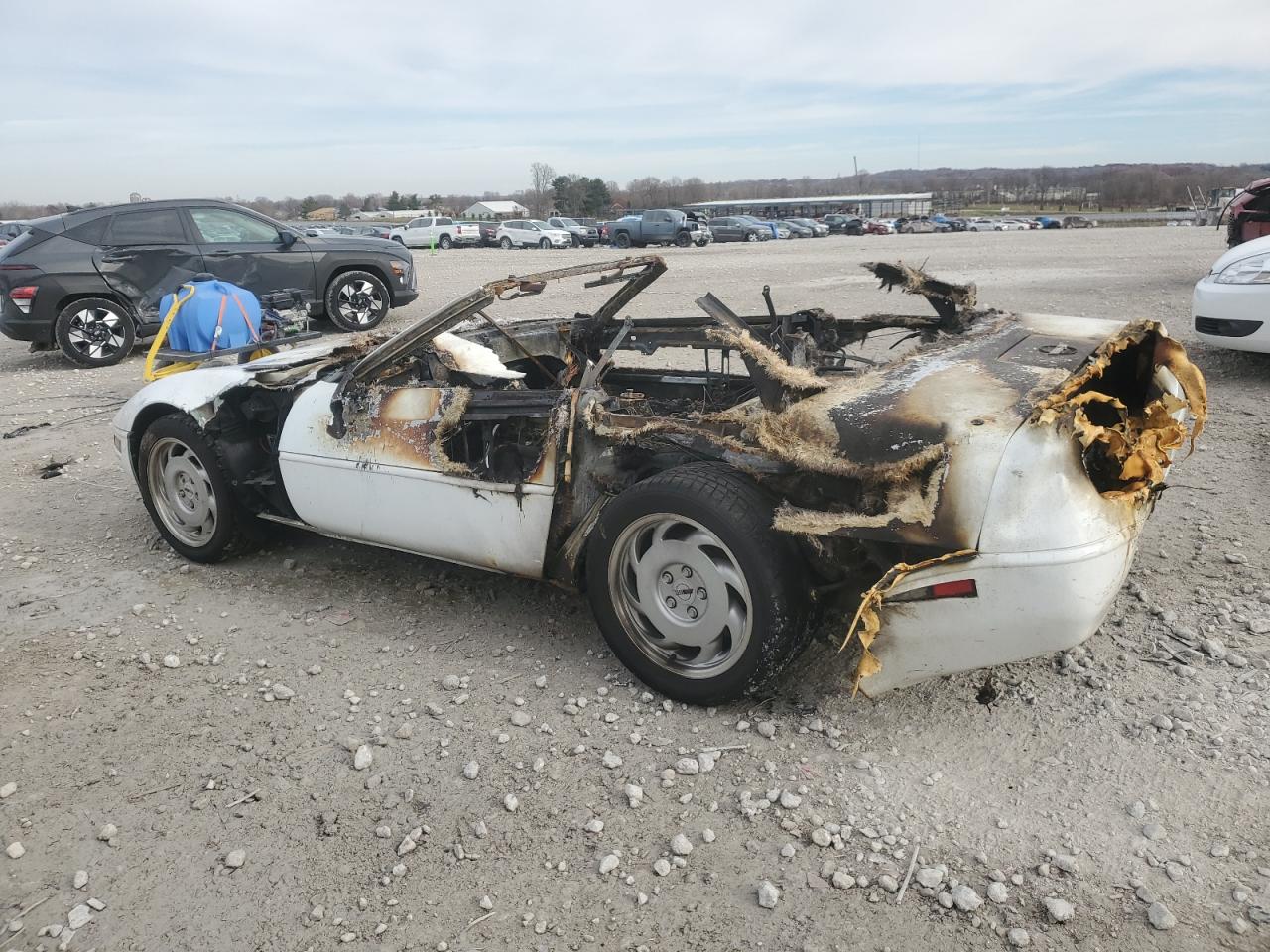1991 Chevrolet Corvette White vin: 1G1YY338XM5110781