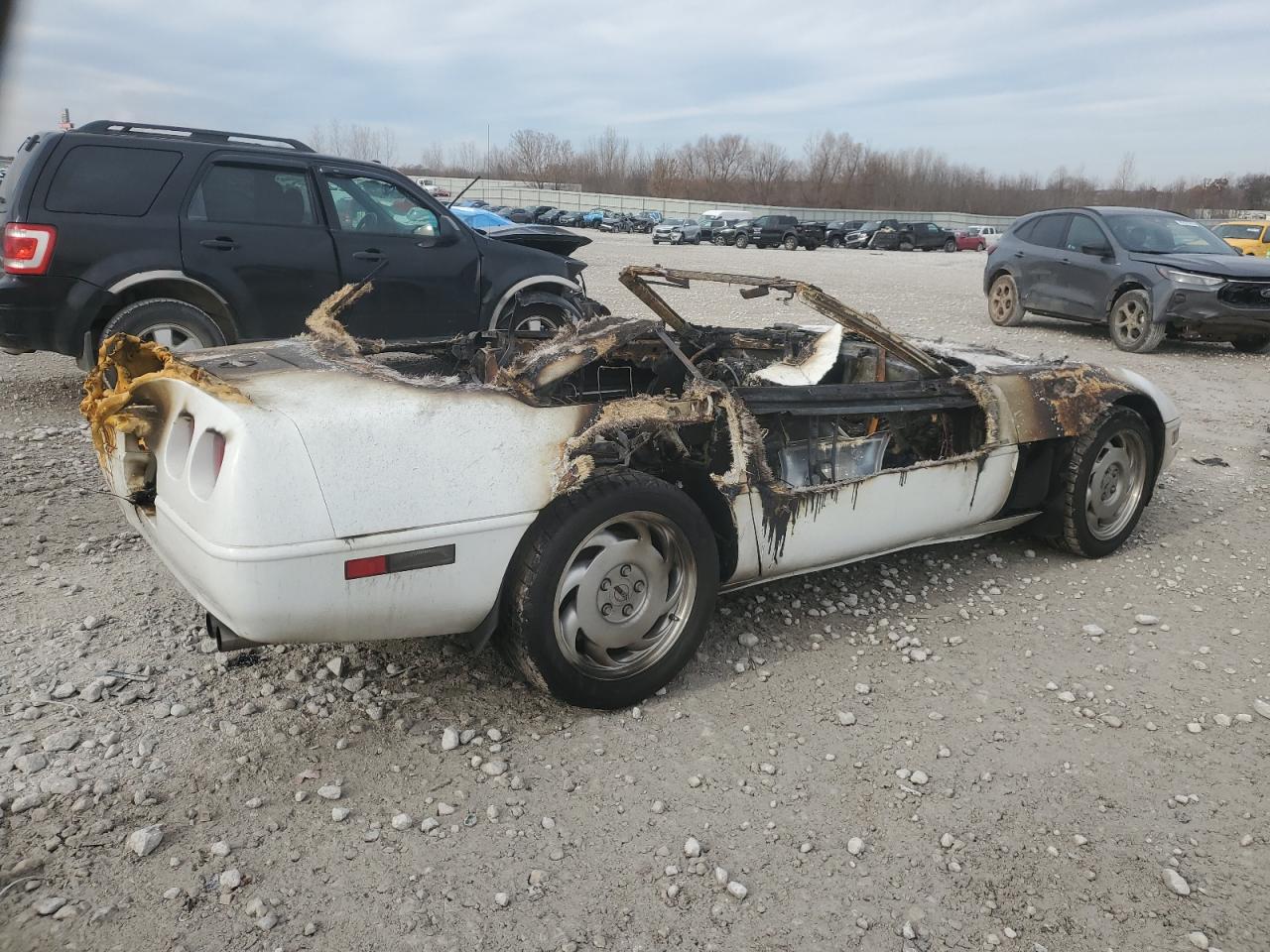 1991 Chevrolet Corvette White vin: 1G1YY338XM5110781