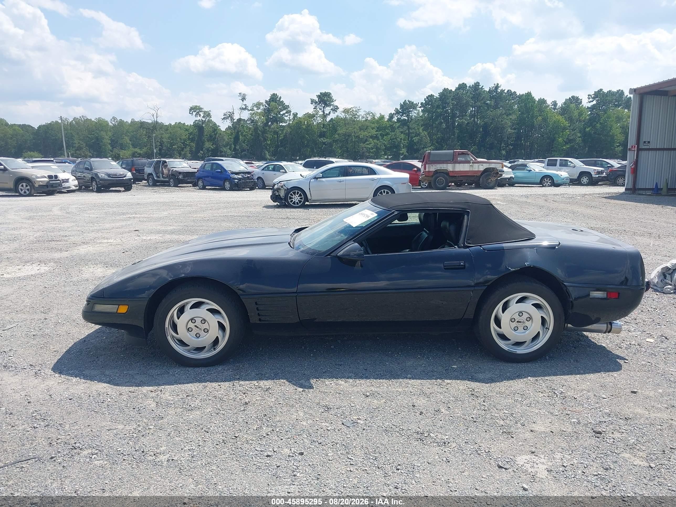 1993 Chevrolet Corvette   Black vin: 1G1YY33PXP5112610