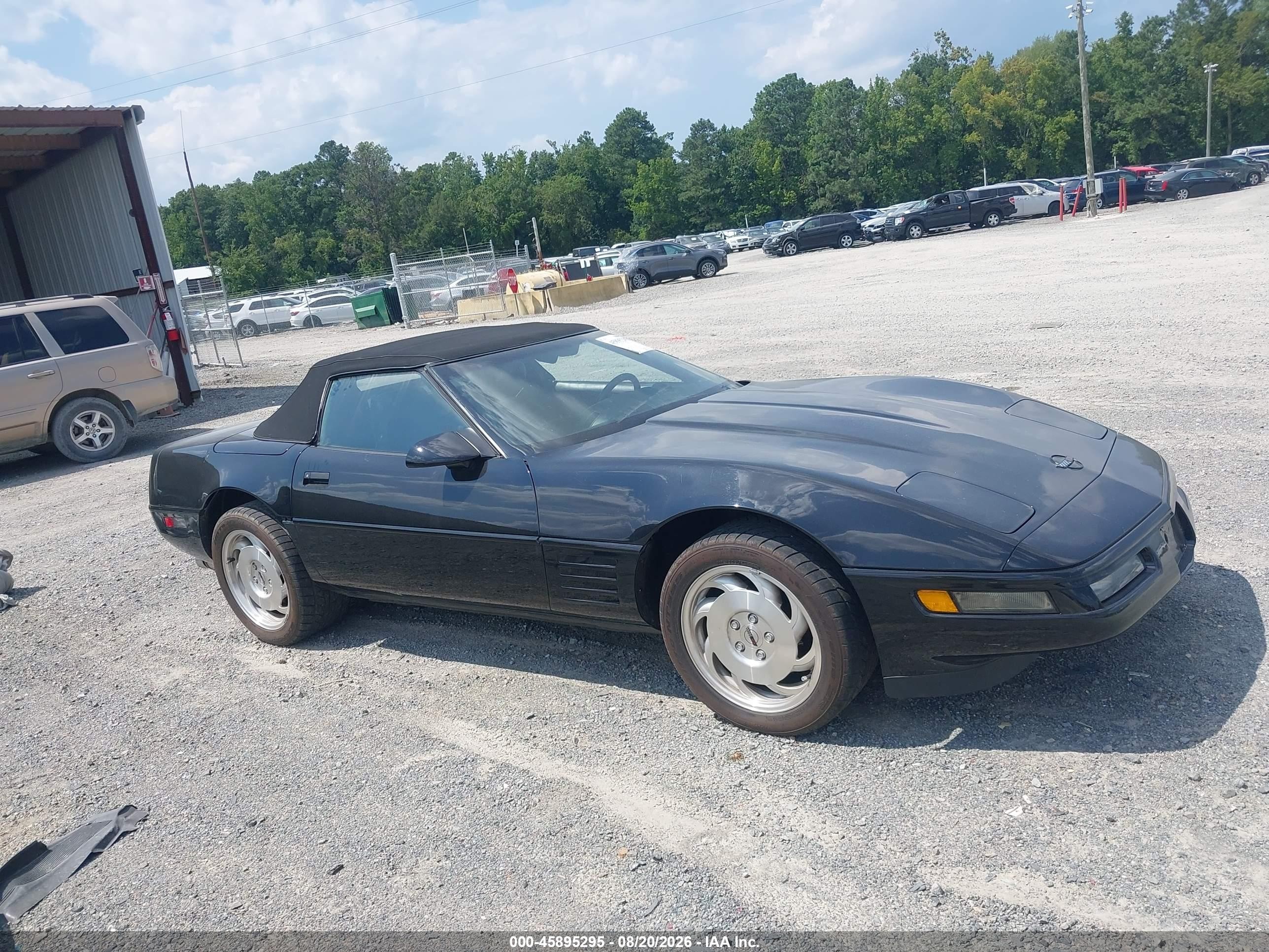 1993 Chevrolet Corvette   Black vin: 1G1YY33PXP5112610