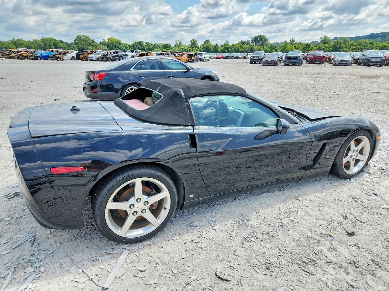2005 Chevrolet Corvette Black vin: 1G1YY34U655133424