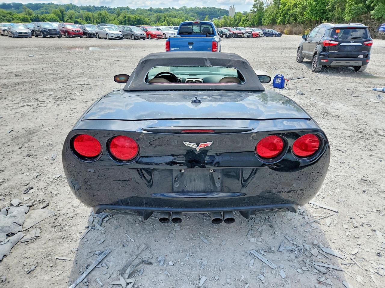 2005 Chevrolet Corvette Black vin: 1G1YY34U655133424
