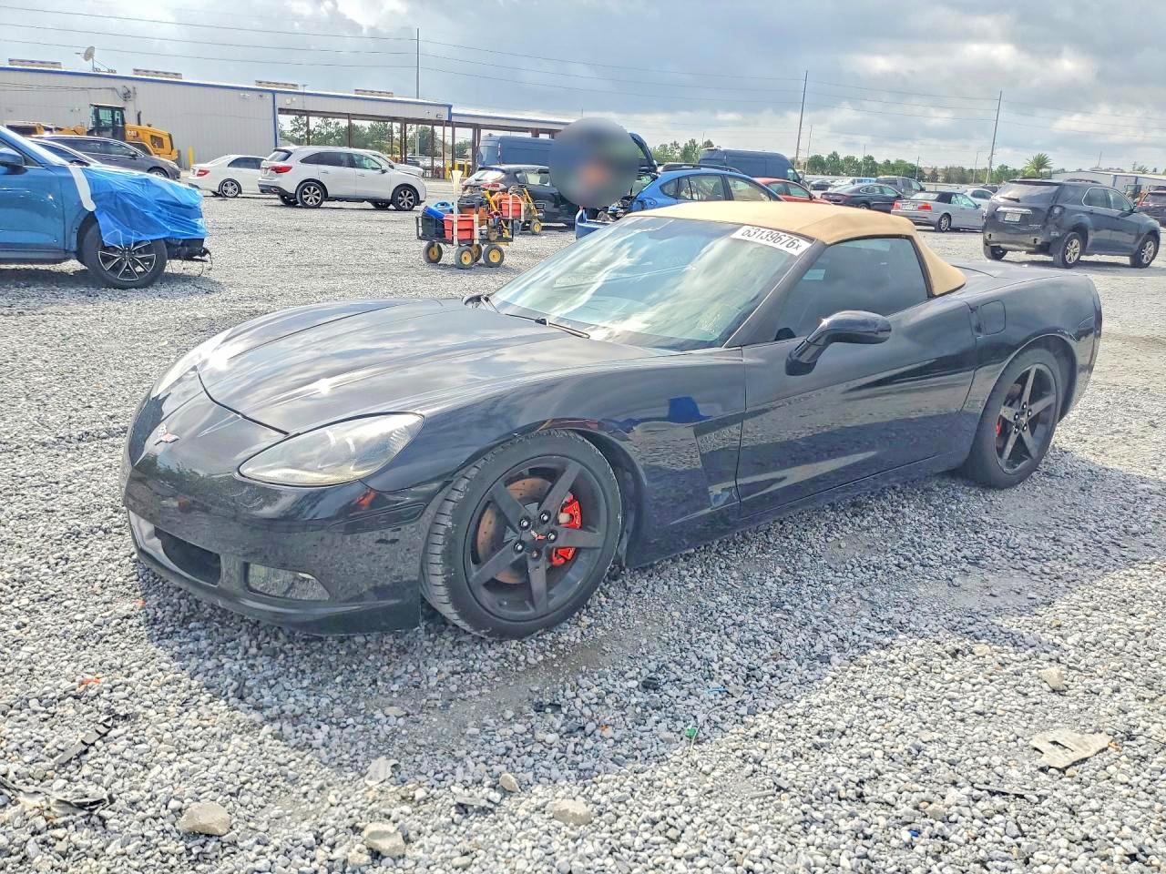2005 Chevrolet Corvette Черный vin: 1G1YY34U755128684