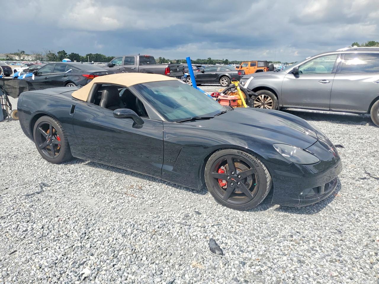 2005 Chevrolet Corvette Black vin: 1G1YY34U755128684