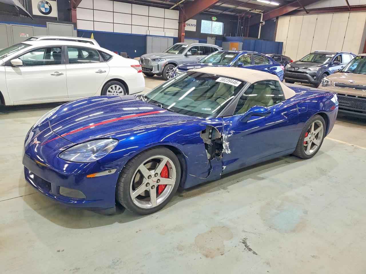 2005 Chevrolet Corvette Blue vin: 1G1YY34UX55130946