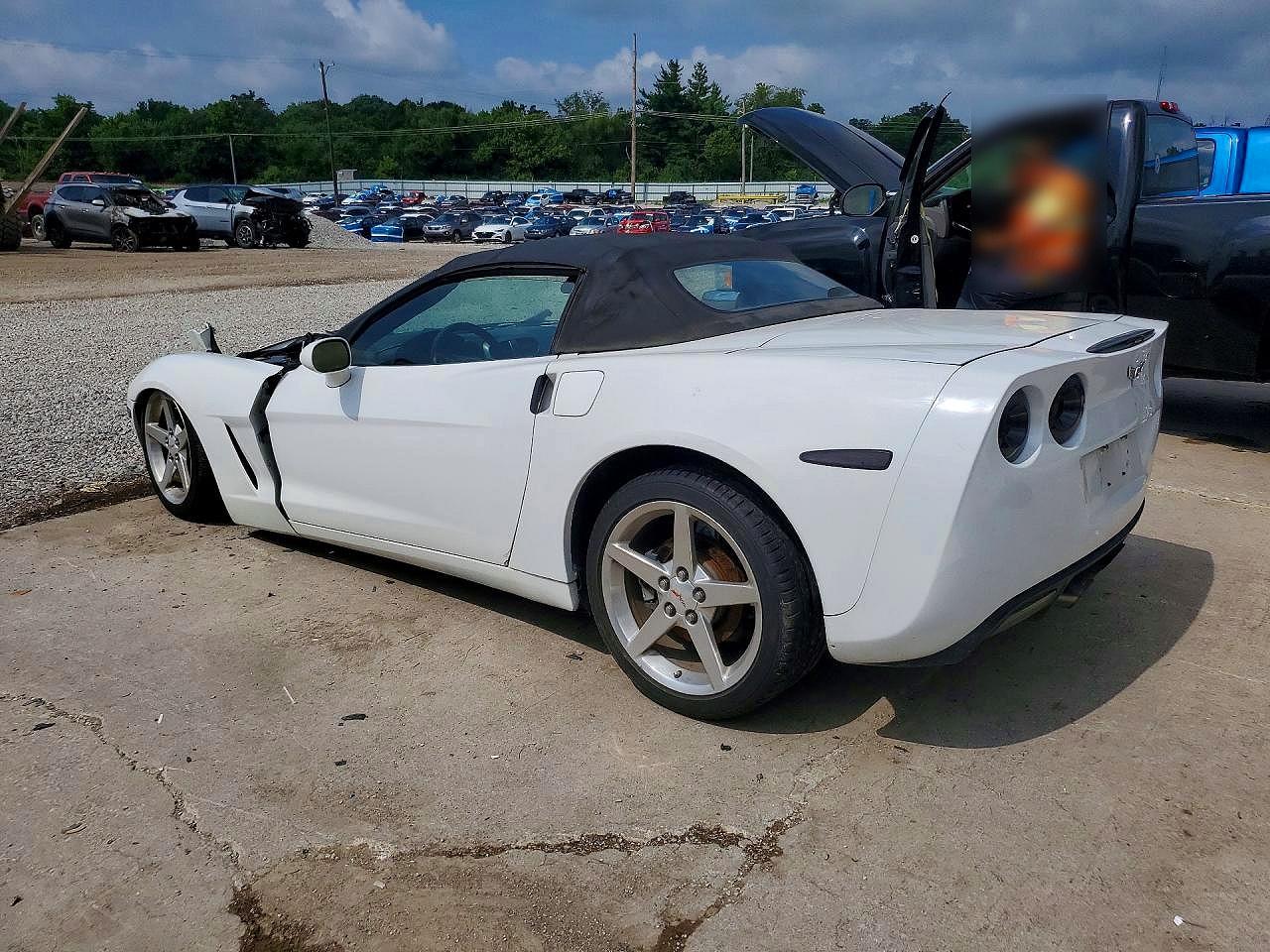 2006 Chevrolet Corvette White vin: 1G1YY36U465131010
