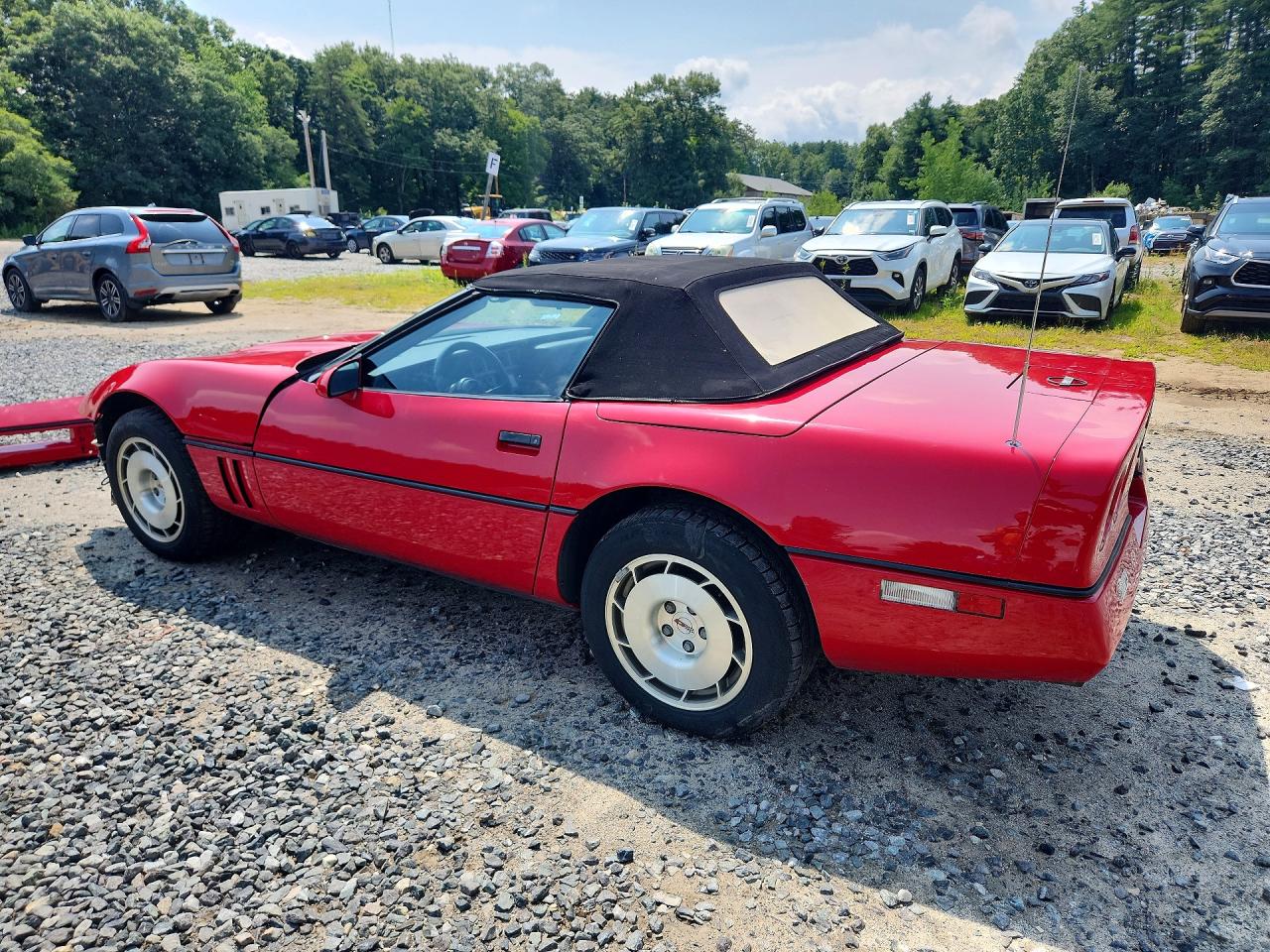 1986 Chevrolet Corvette Red vin: 1G1YY6784G5905325