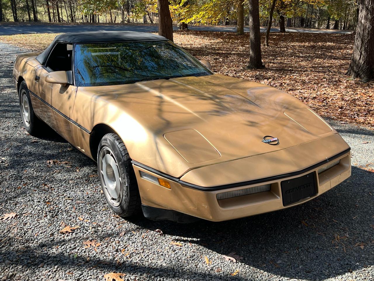 1986 Chevrolet Corvette Gold vin: 1G1YY6789G5902436
