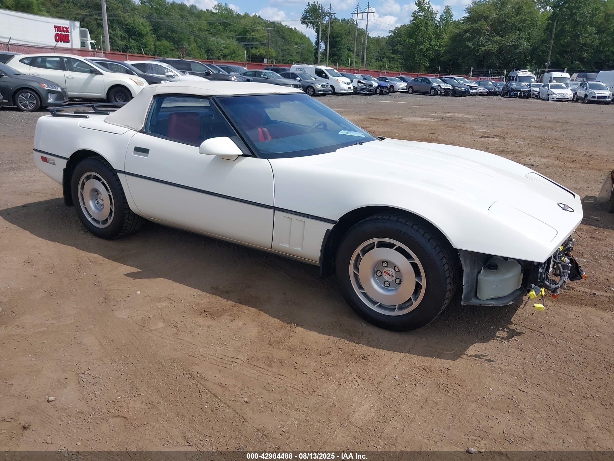 1986 Chevrolet Corvette   White vin: 1G1YY678XG5900520