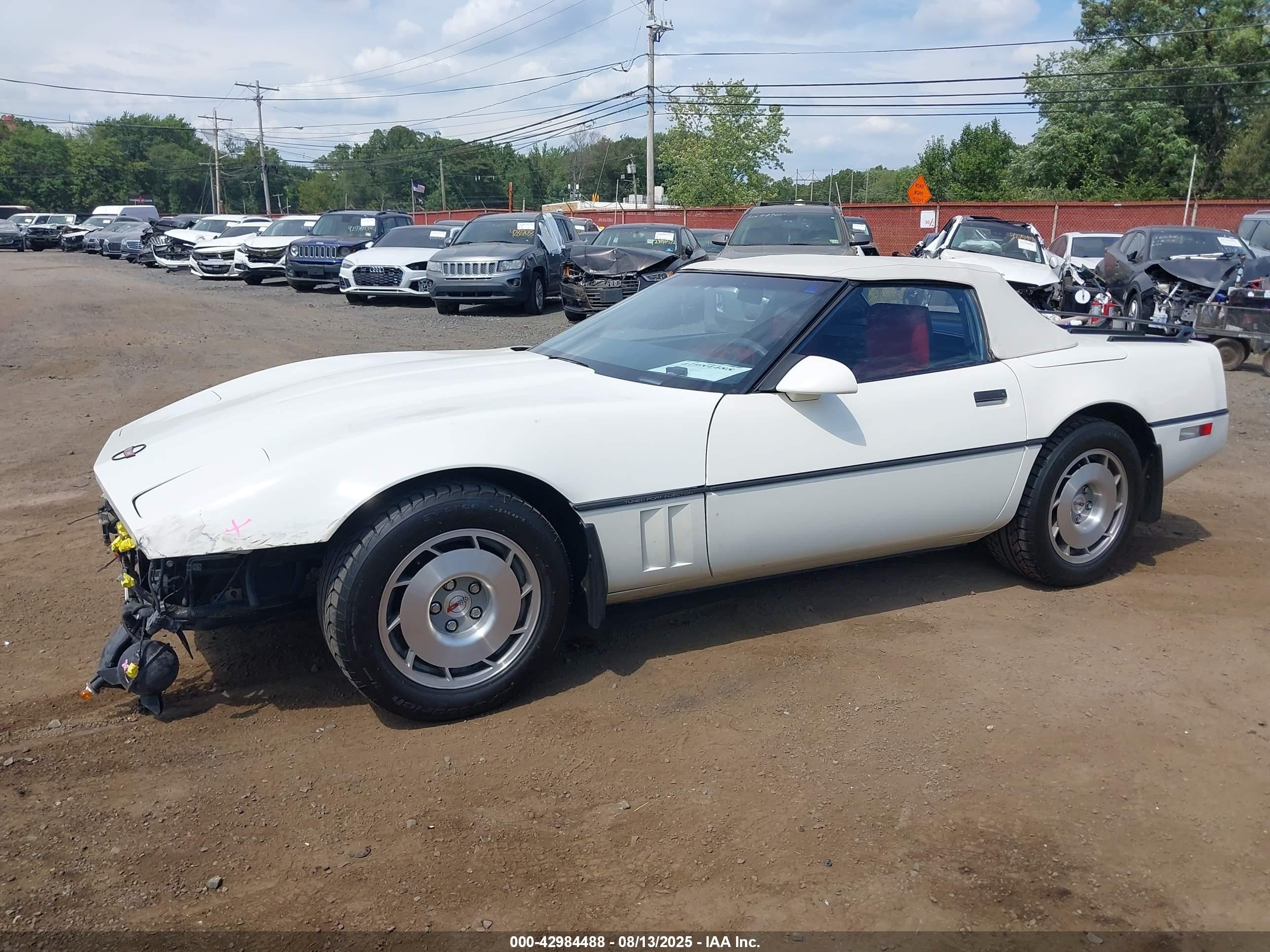 1986 Chevrolet Corvette   White vin: 1G1YY678XG5900520