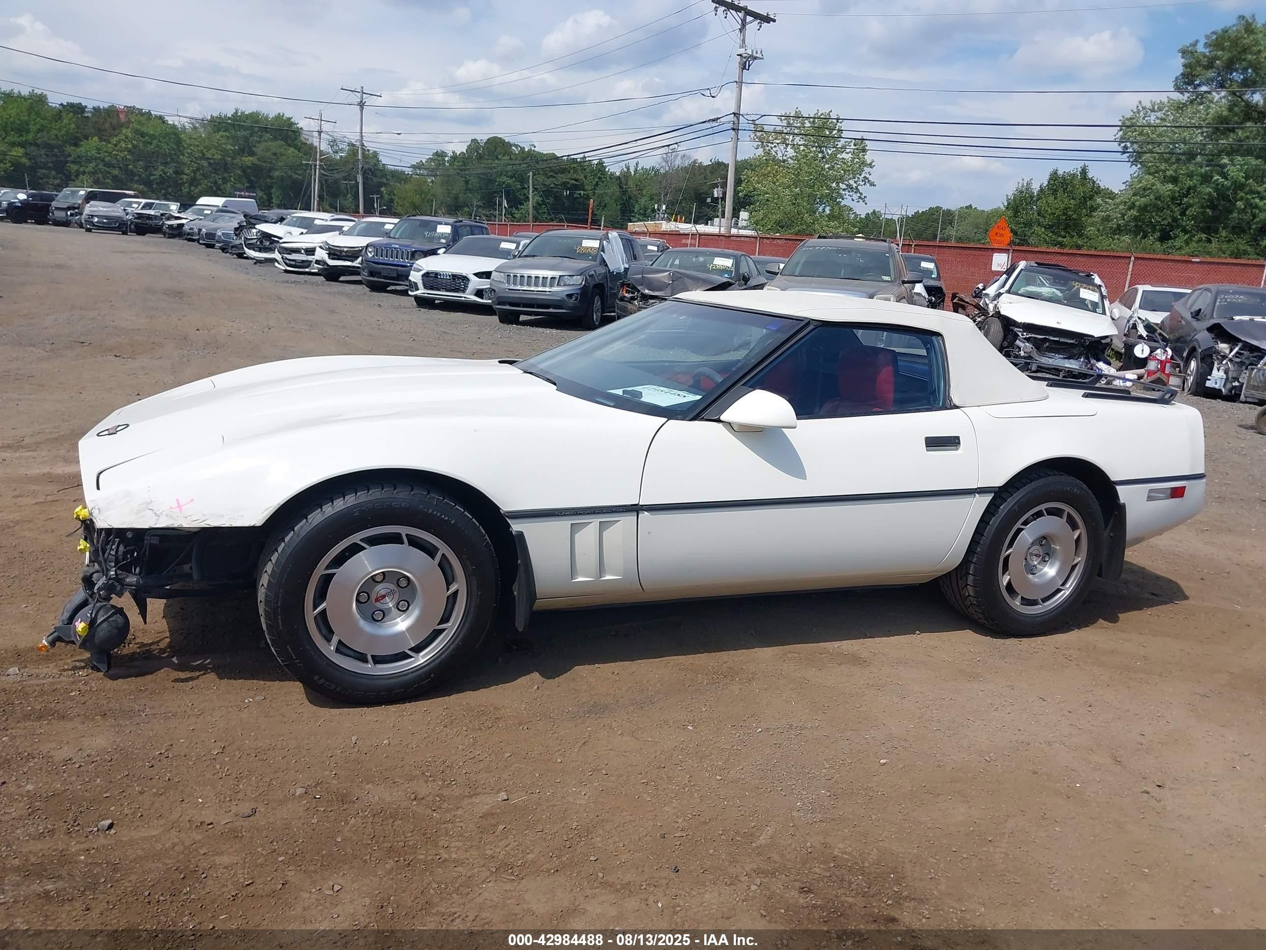 1986 Chevrolet Corvette   White vin: 1G1YY678XG5900520