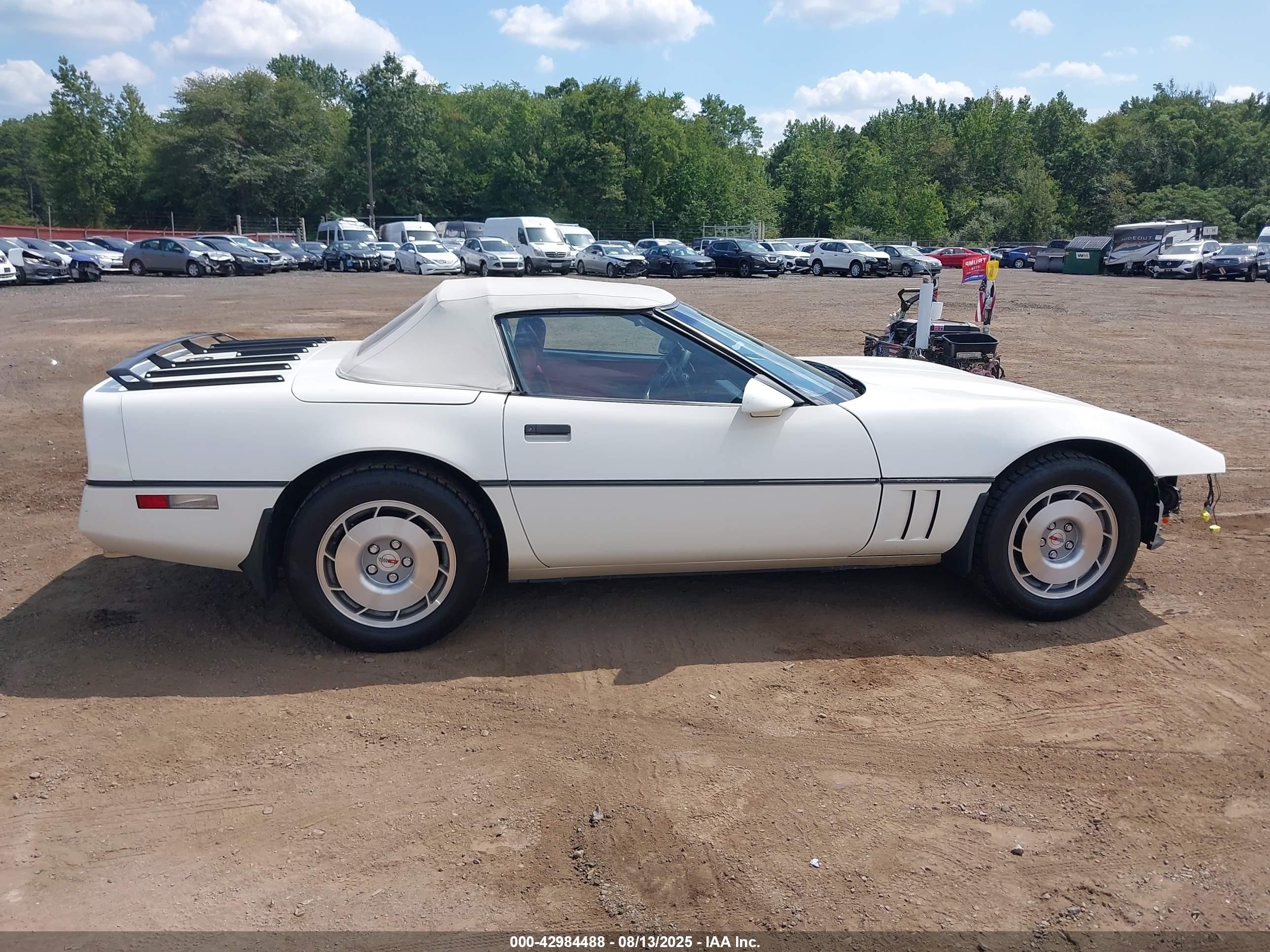 1986 Chevrolet Corvette   White vin: 1G1YY678XG5900520