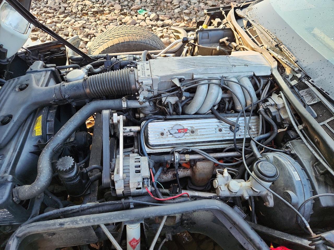 1986 Chevrolet Corvette Белый vin: 1G1YY678XG5901148