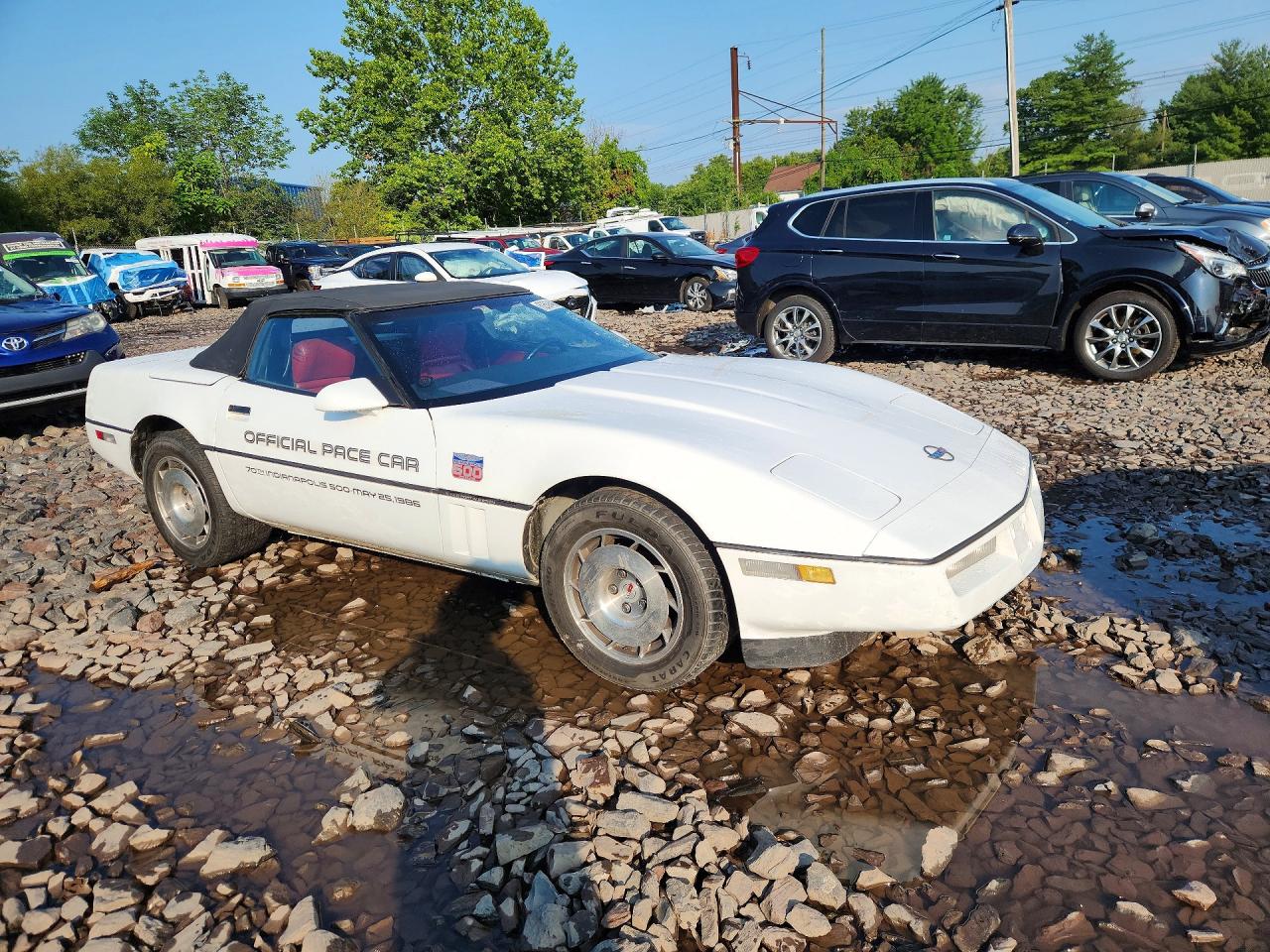 1986 Chevrolet Corvette Белый vin: 1G1YY678XG5901148