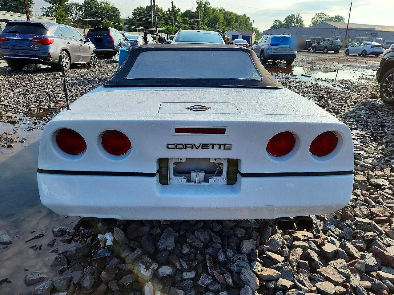 1986 Chevrolet Corvette Белый vin: 1G1YY678XG5901148