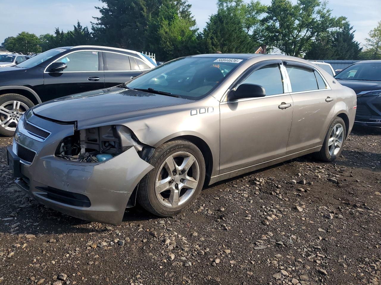 2012 Chevrolet Malibu Ls Tan vin: 1G1ZA5E04CF211366