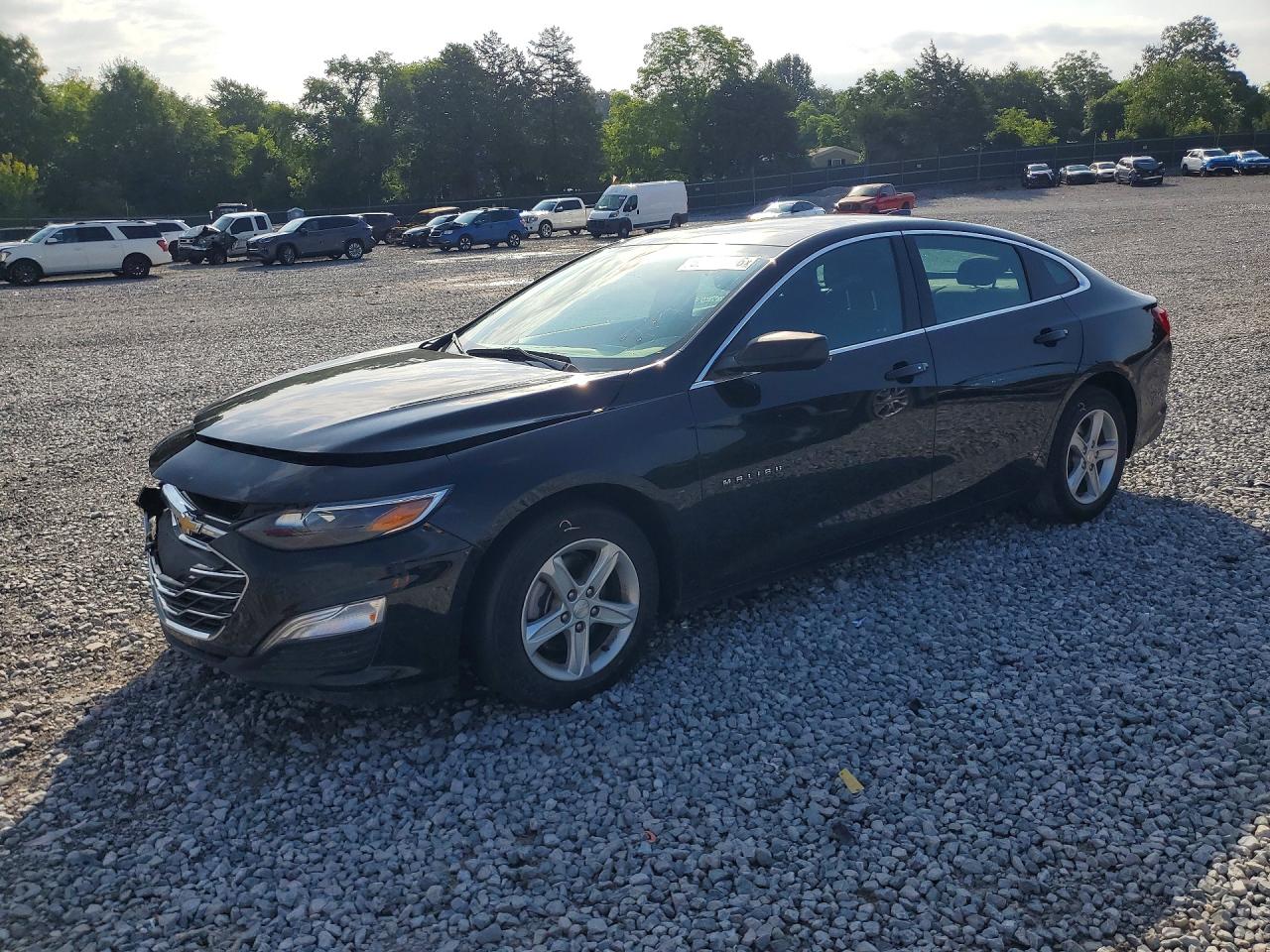 2019 Chevrolet Malibu Ls Black vin: 1G1ZB5ST1KF203901