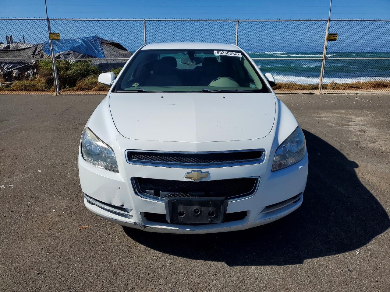 2012 Chevrolet Malibu 1lt White vin: 1G1ZC5E01CF272698