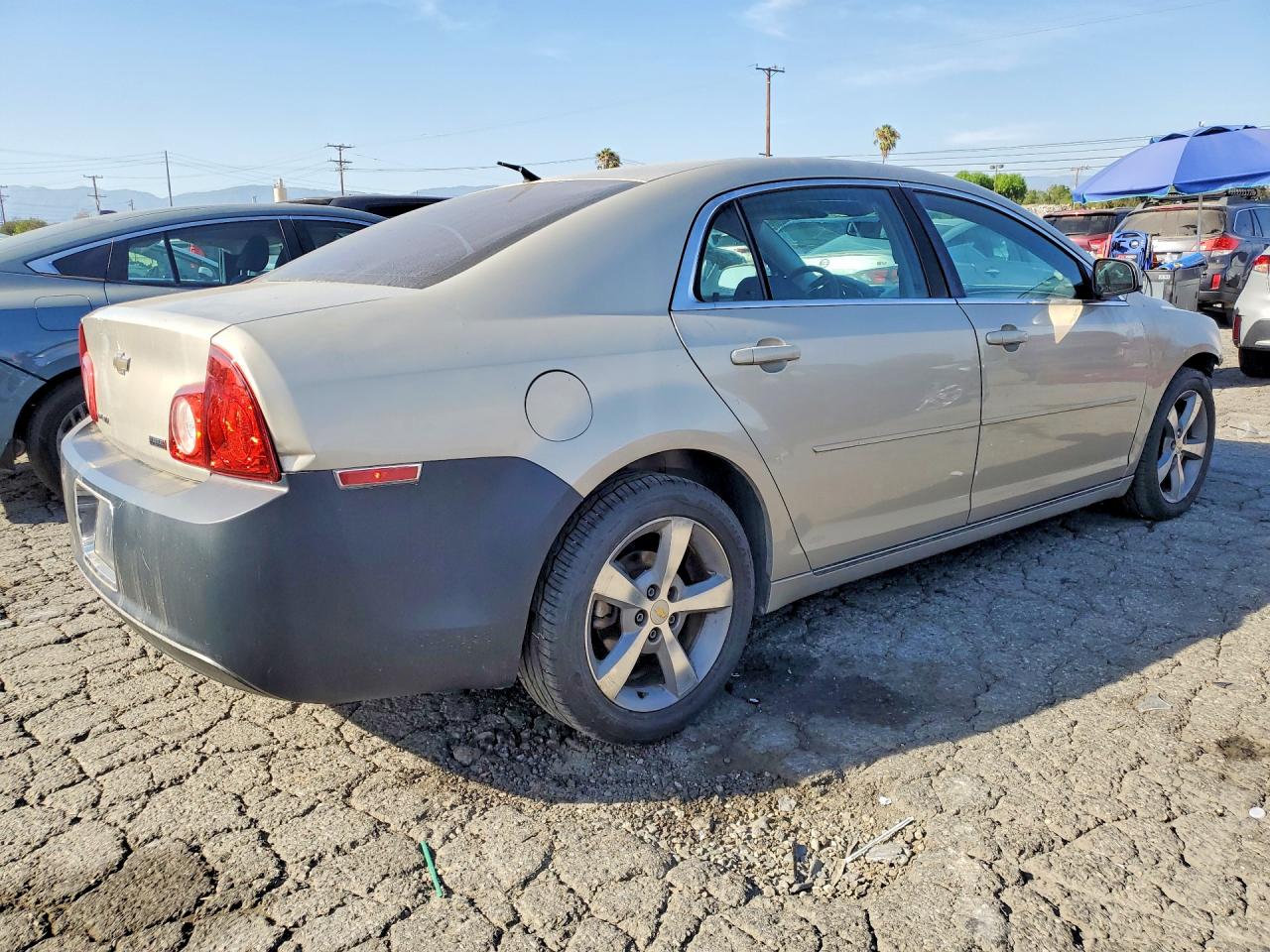 2010 Chevrolet Malibu 1lt Beige vin: 1G1ZC5E03AF211608