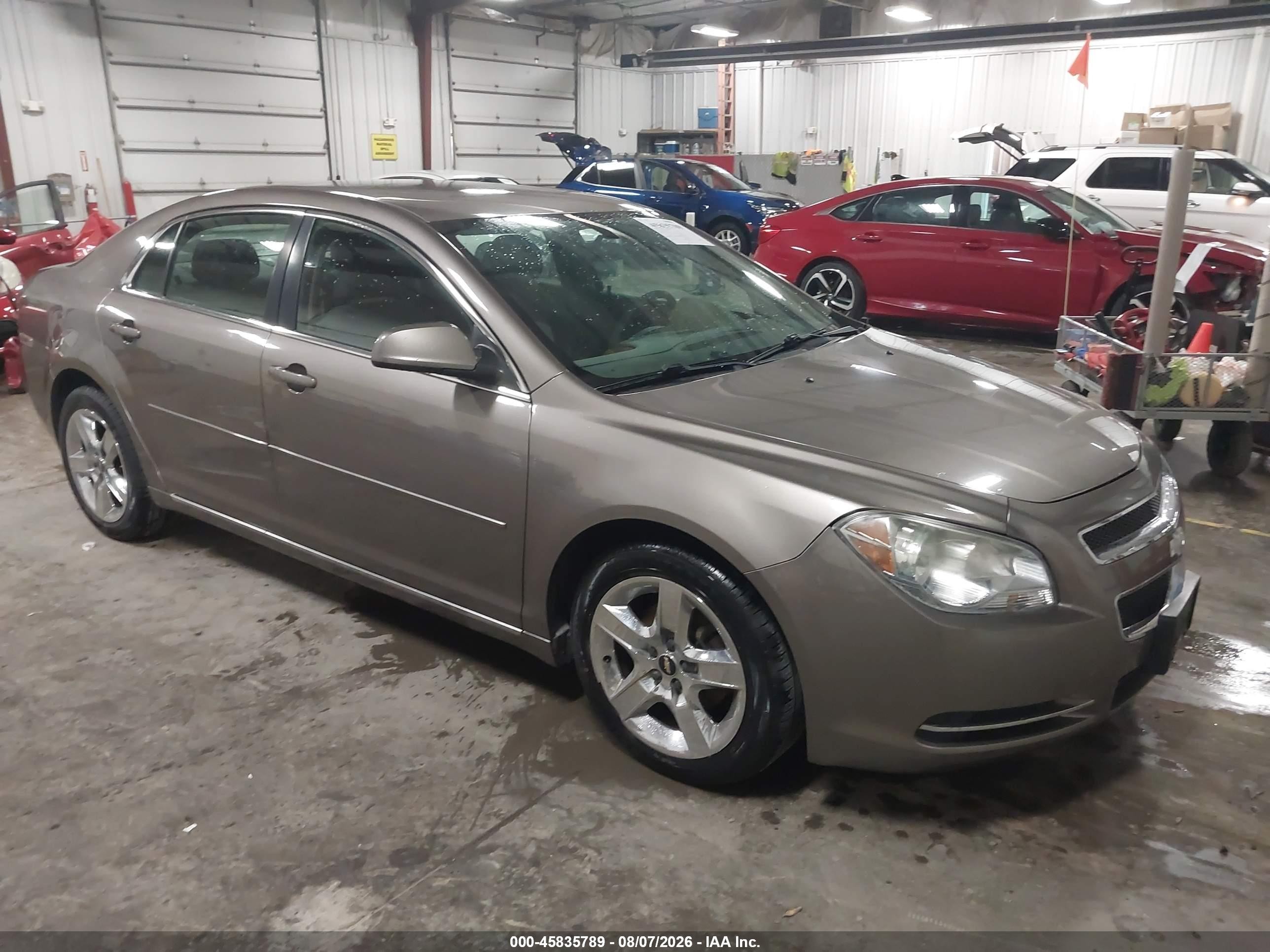 2010 Chevrolet Malibu Lt Beige vin: 1G1ZC5E05AF171225