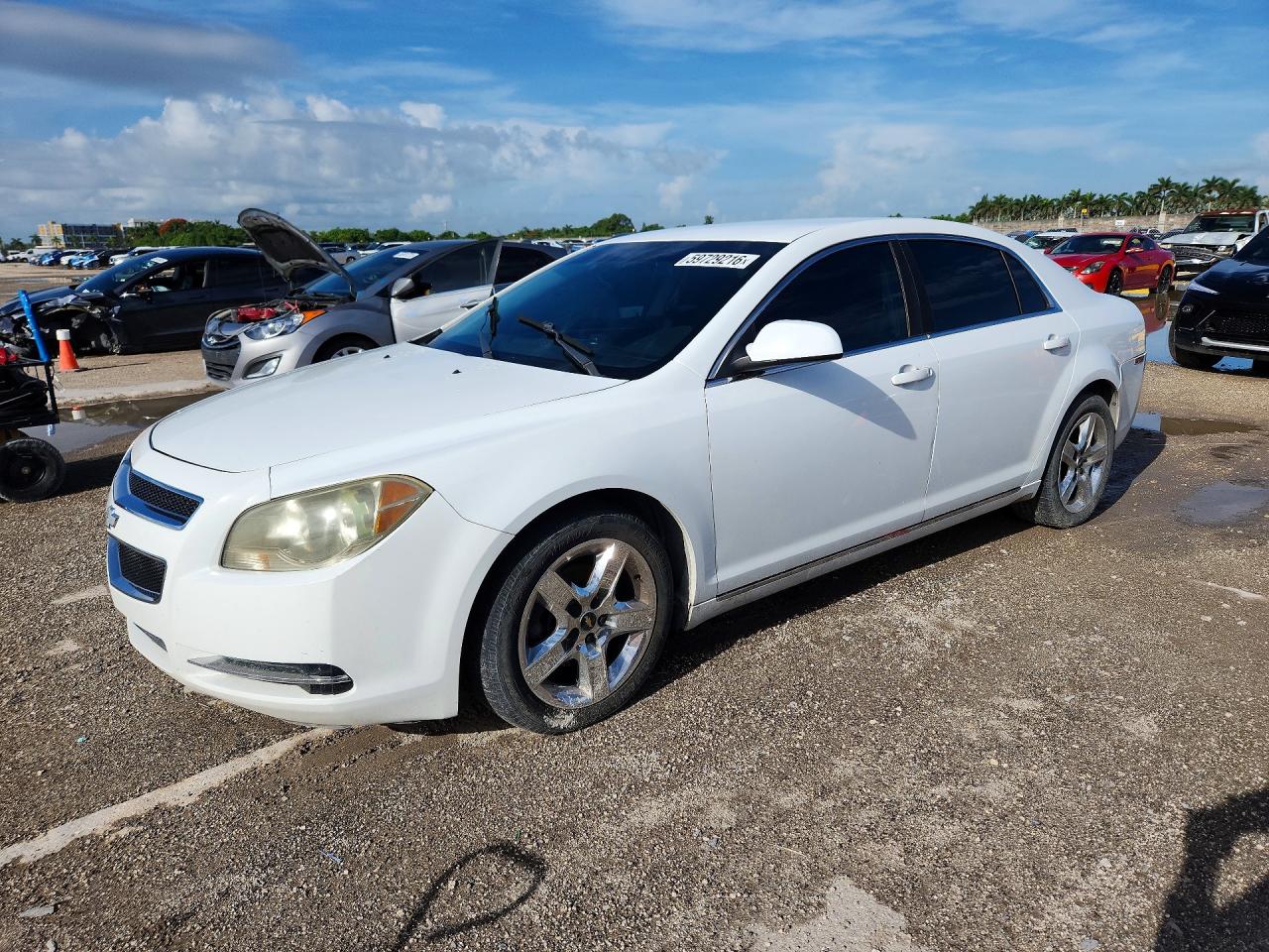 2010 Chevrolet Malibu 1lt White vin: 1G1ZC5E05AF175338